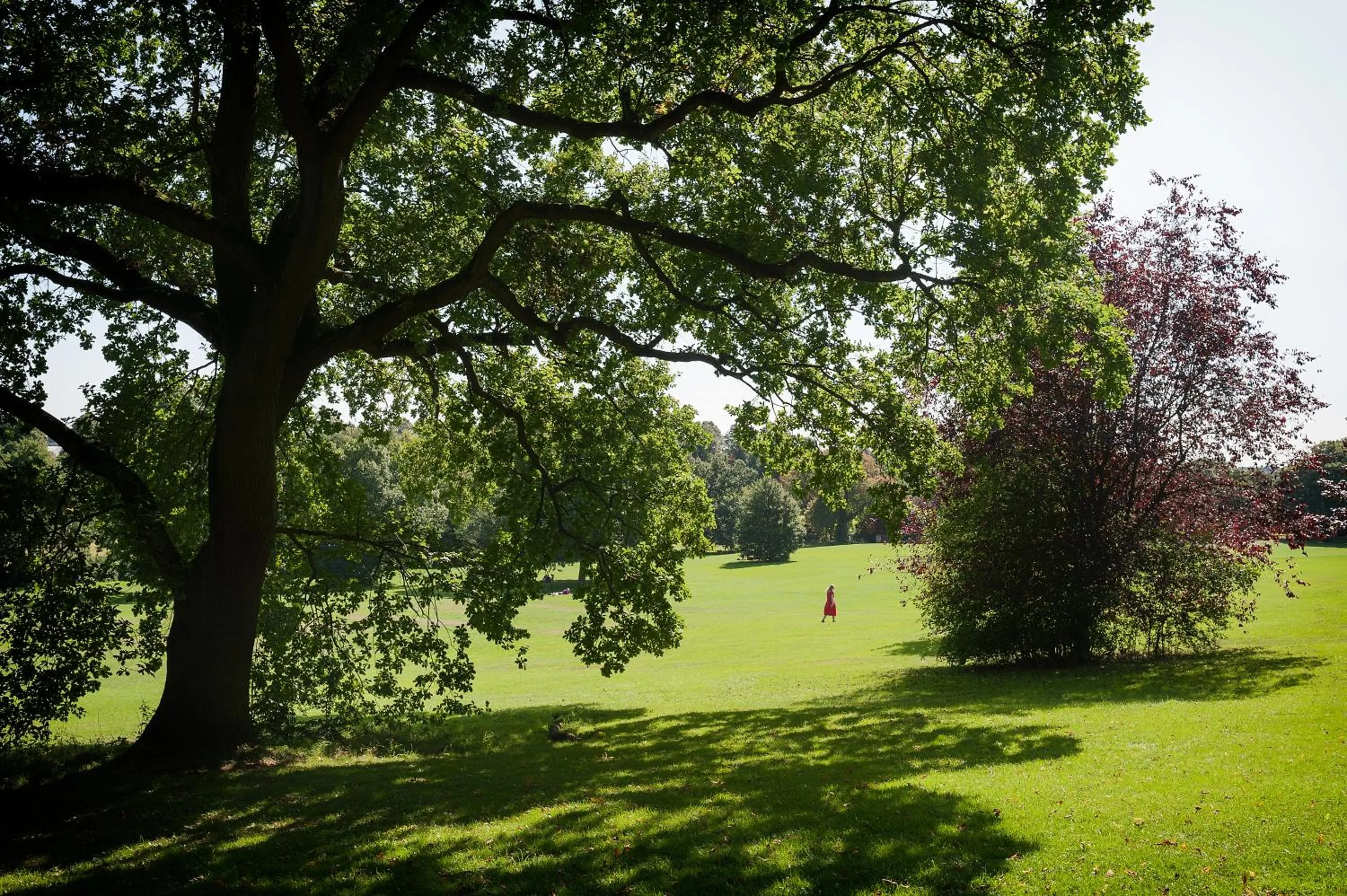 Nearby landmark in The Coach House