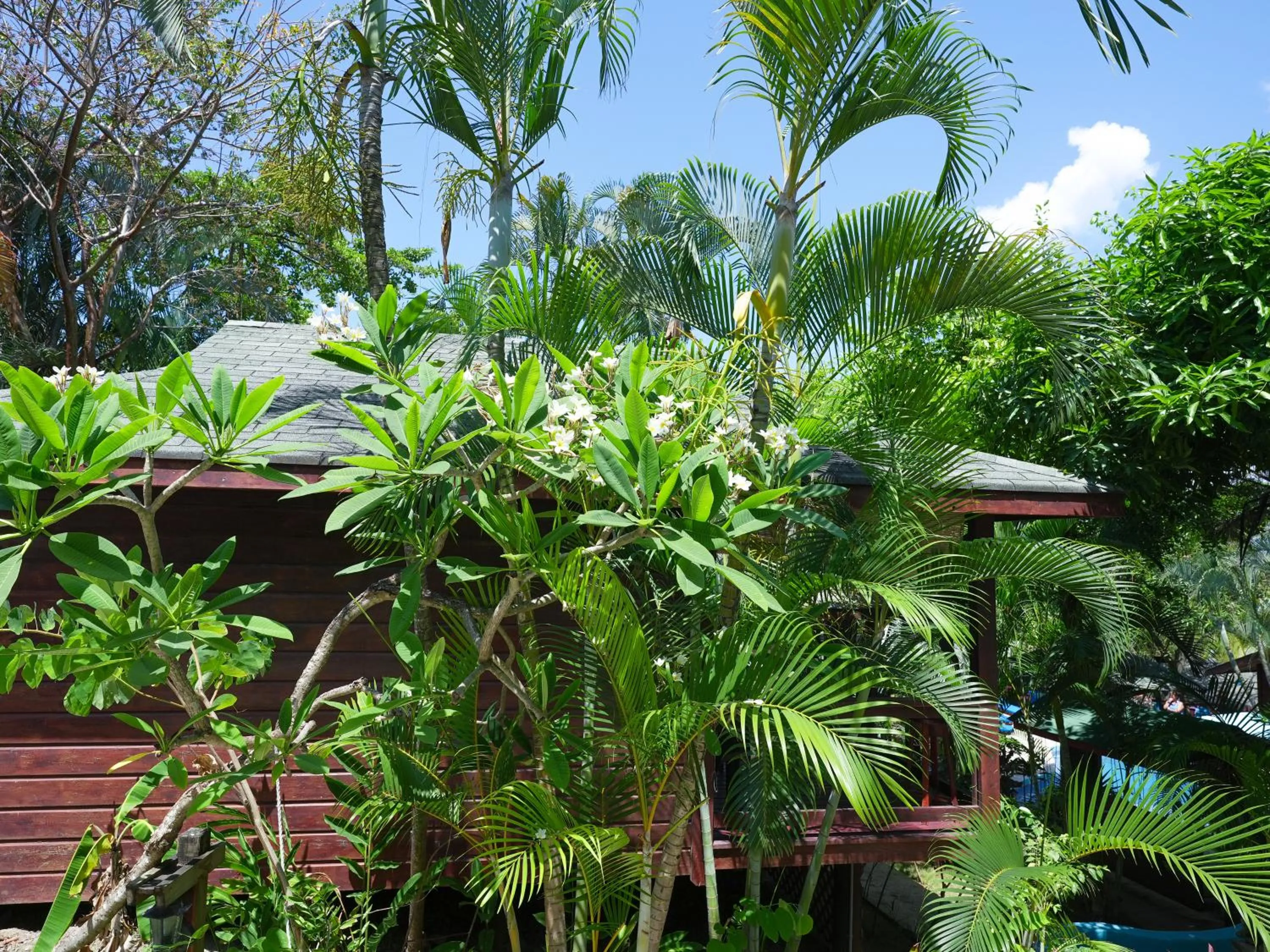 Natural landscape in West Bay Lodge and Spa