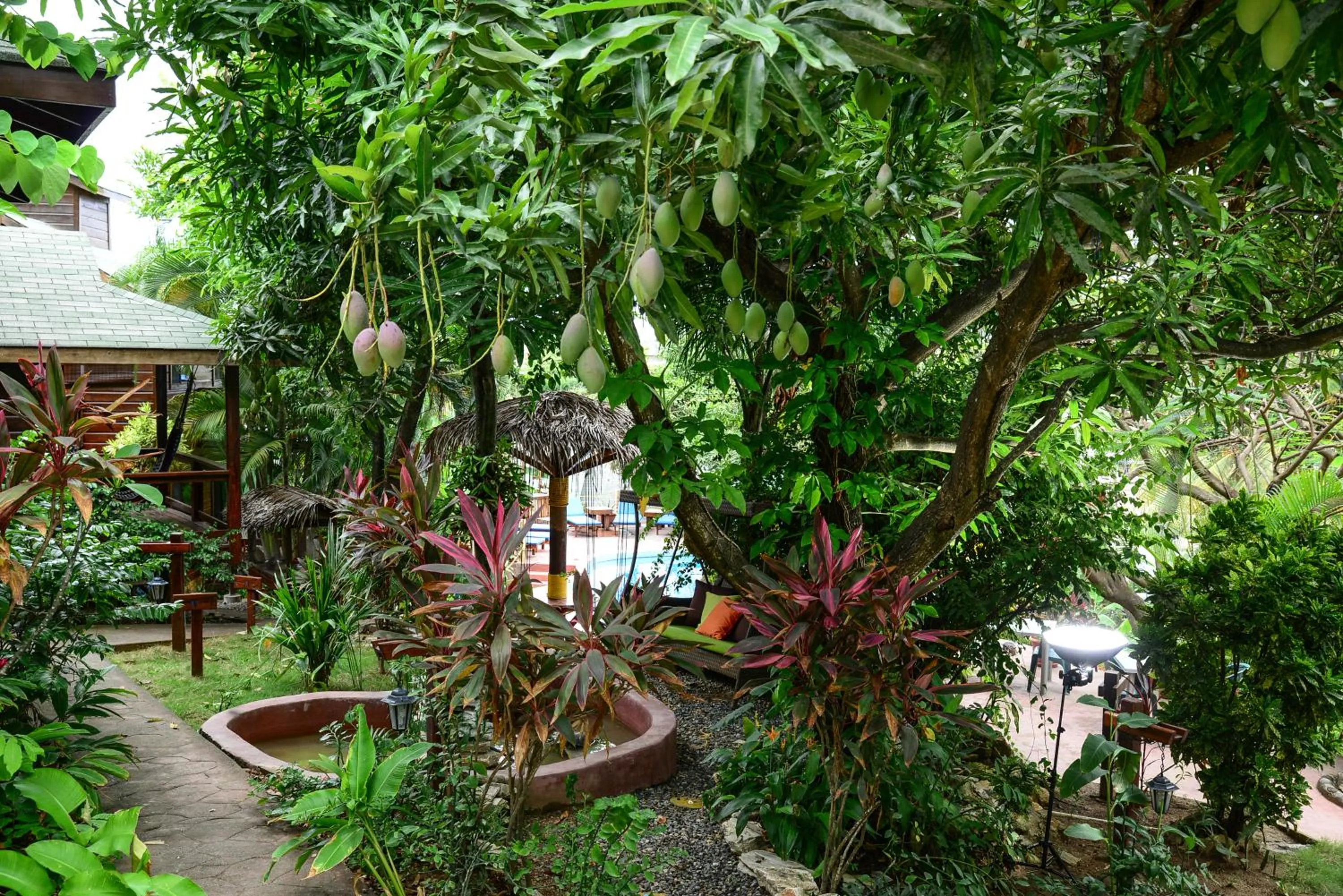 Garden in West Bay Lodge and Spa