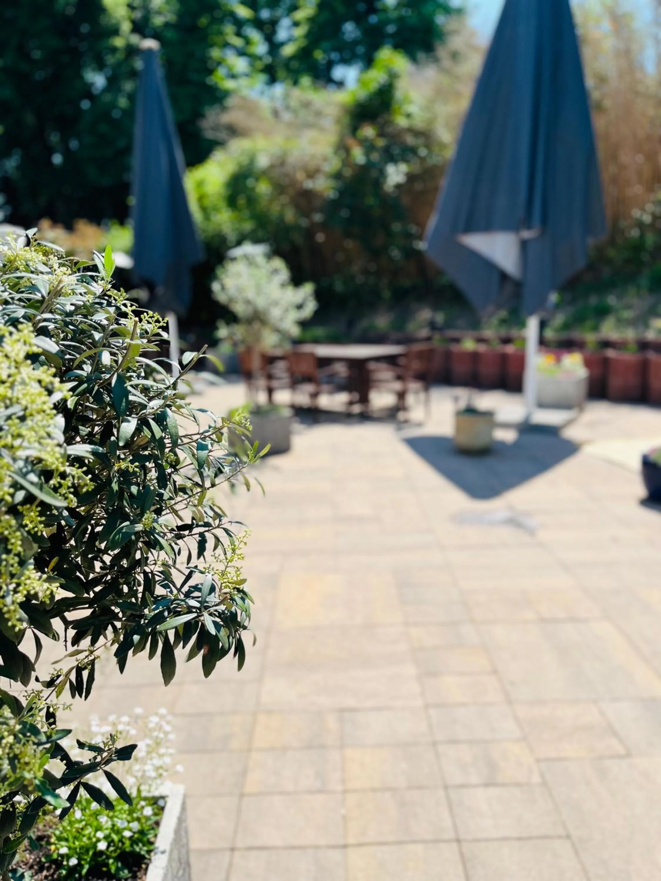 Balcony/Terrace in Stuckhotel Fettehenne