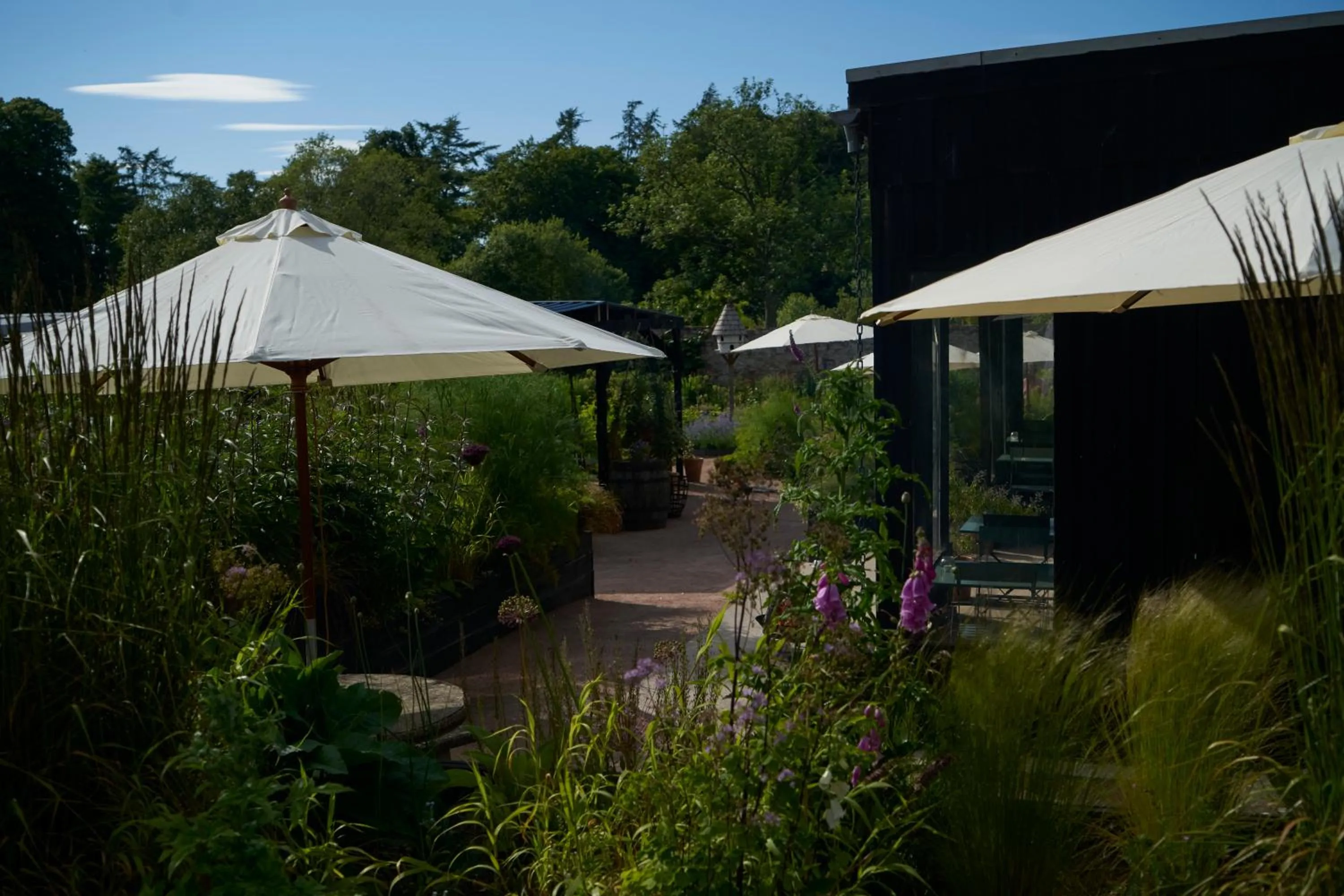 Garden in Boath House Hotel