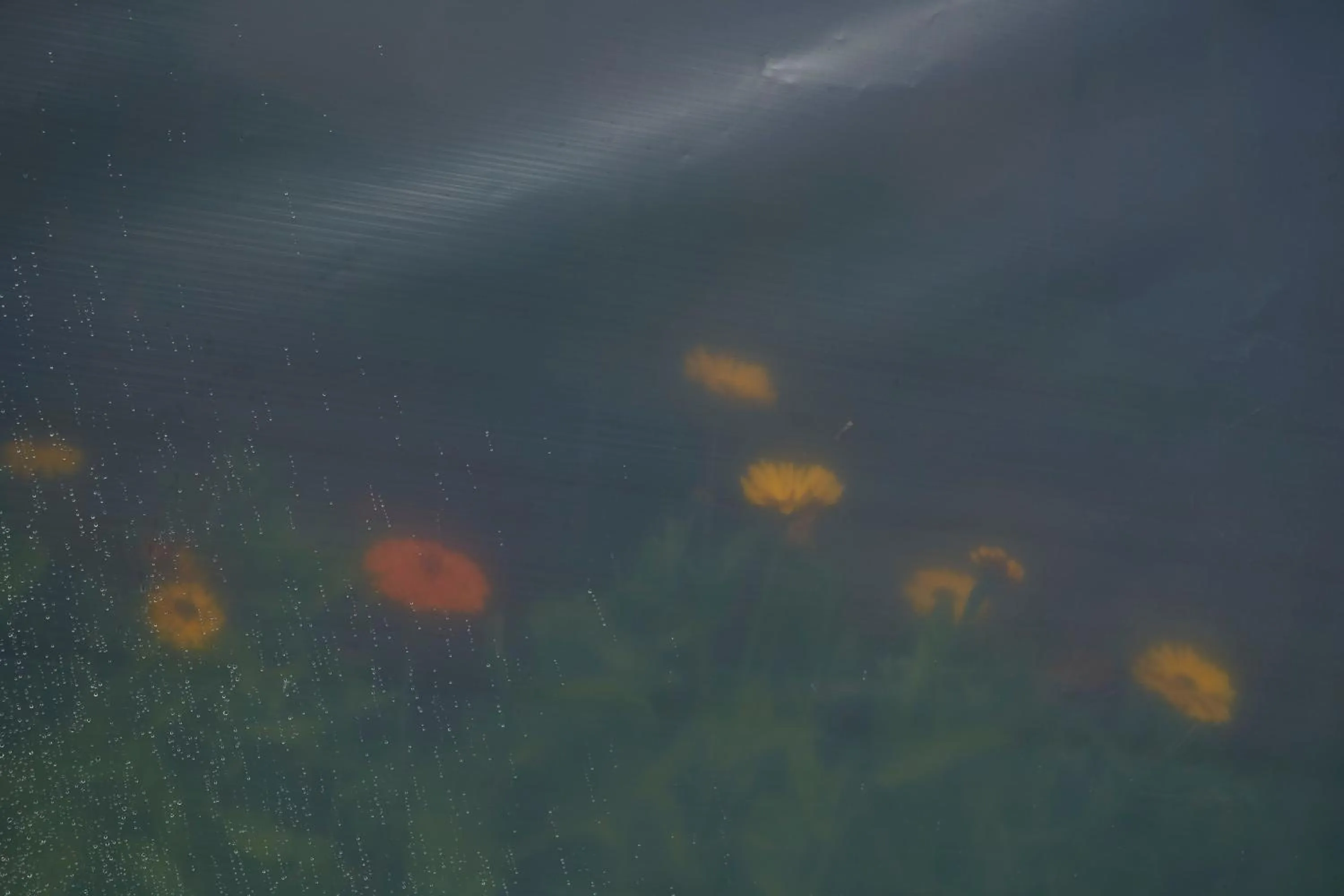 Natural landscape in Boath House Hotel