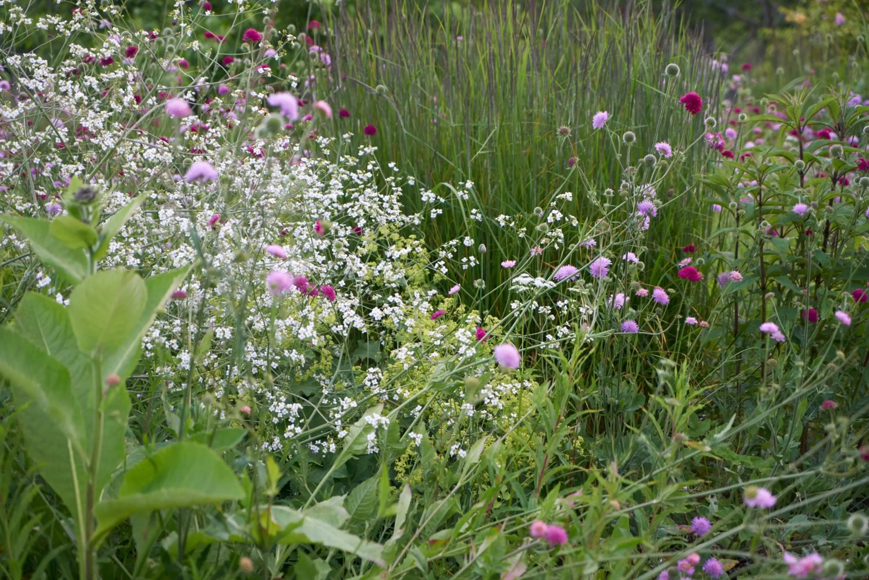 Spring in Boath House Hotel