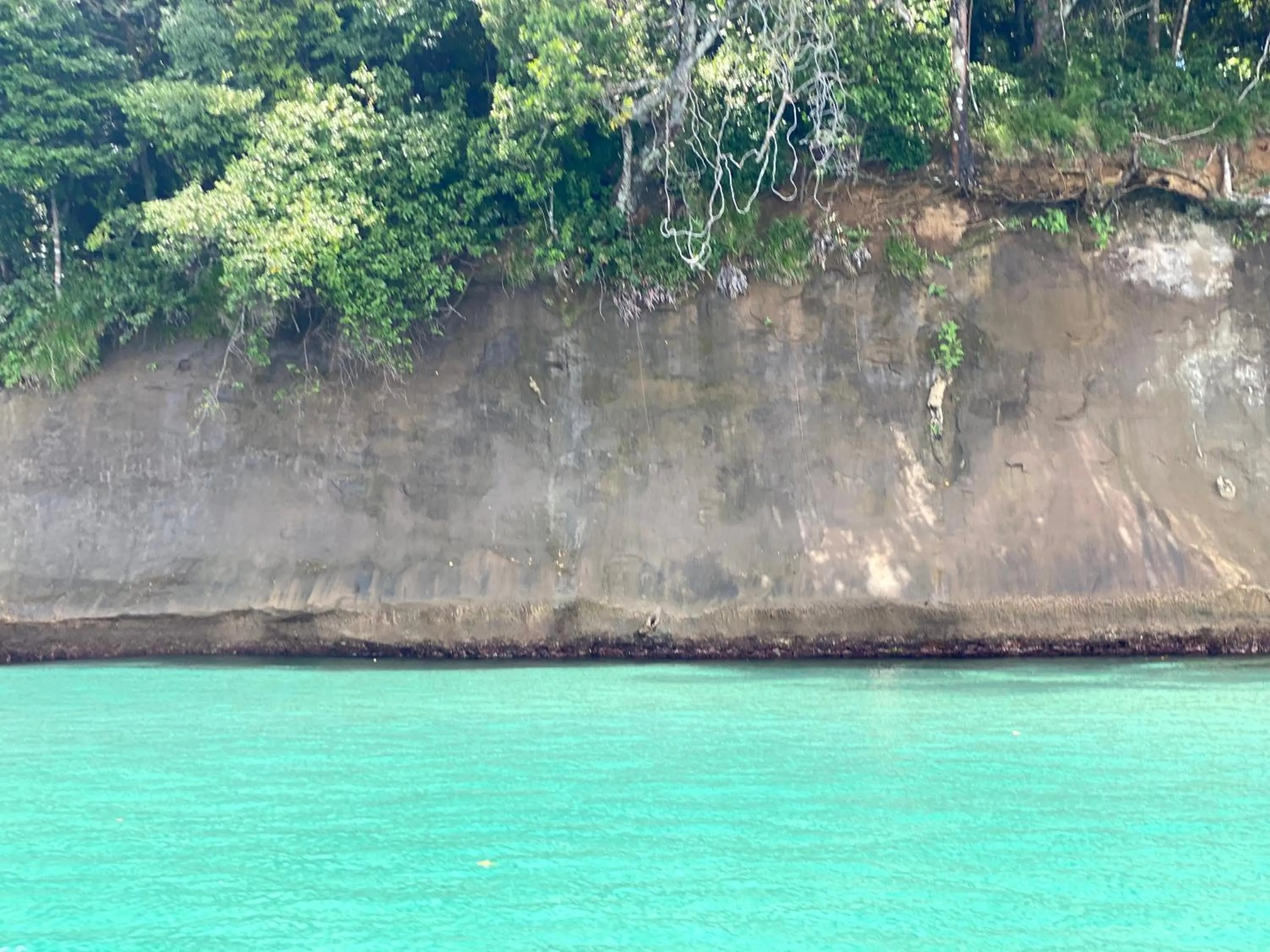 Natural landscape in Hotel Caribbean View