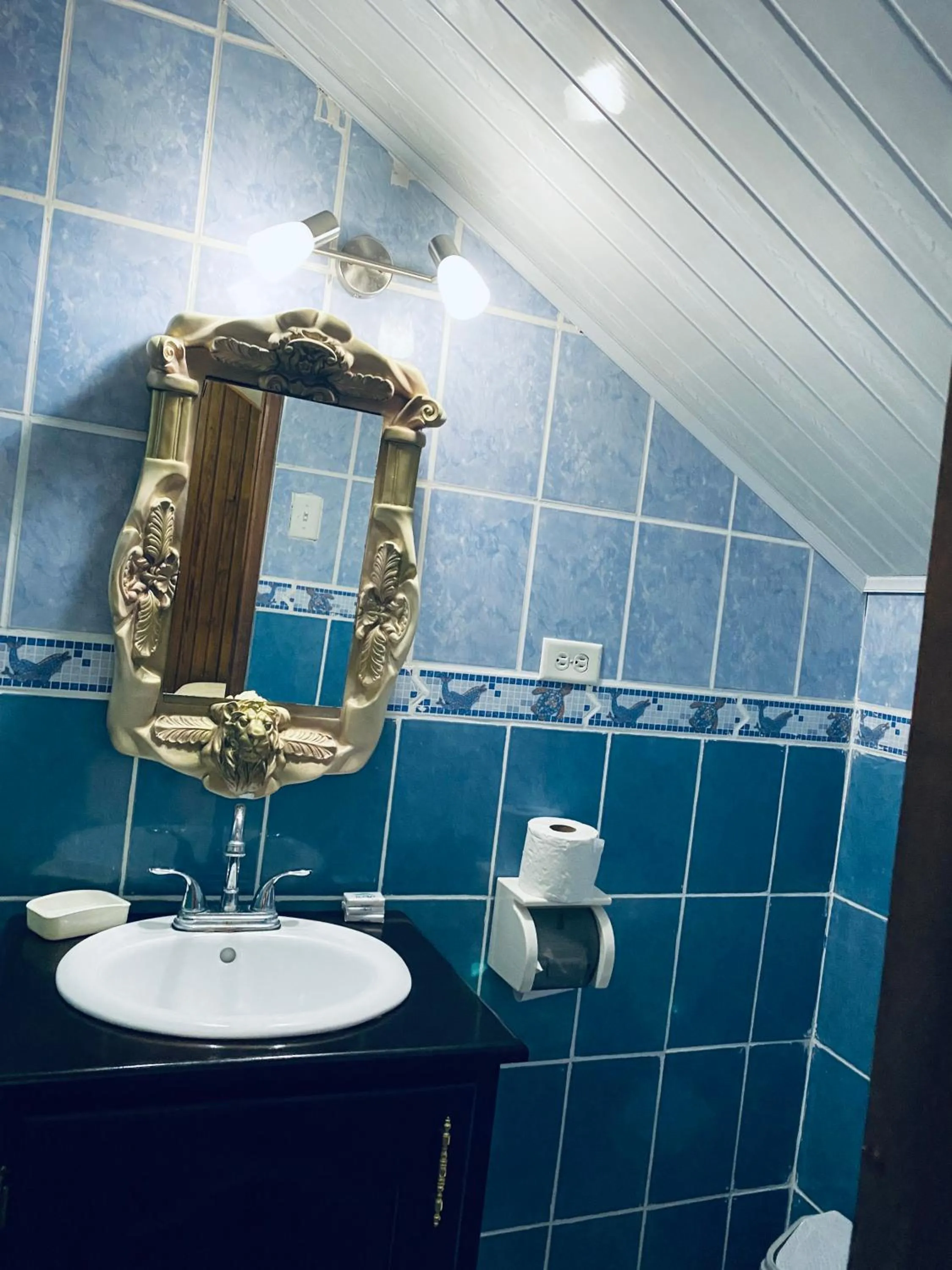 Bathroom in Hotel Caribbean View