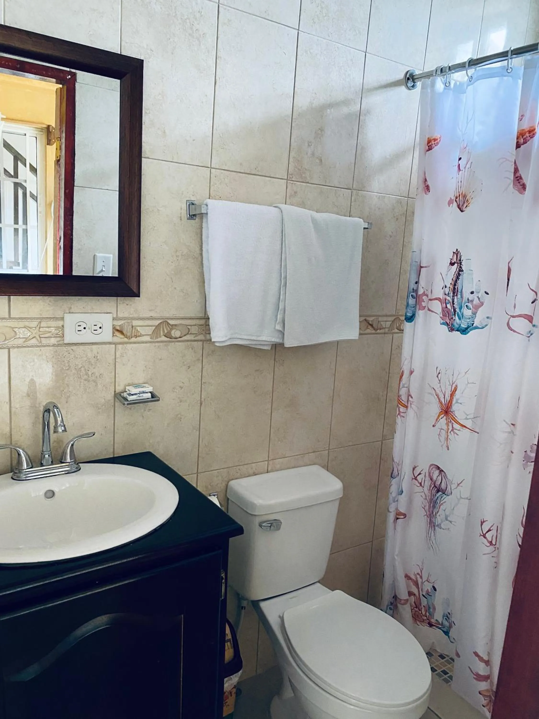 Bathroom in Hotel Caribbean View