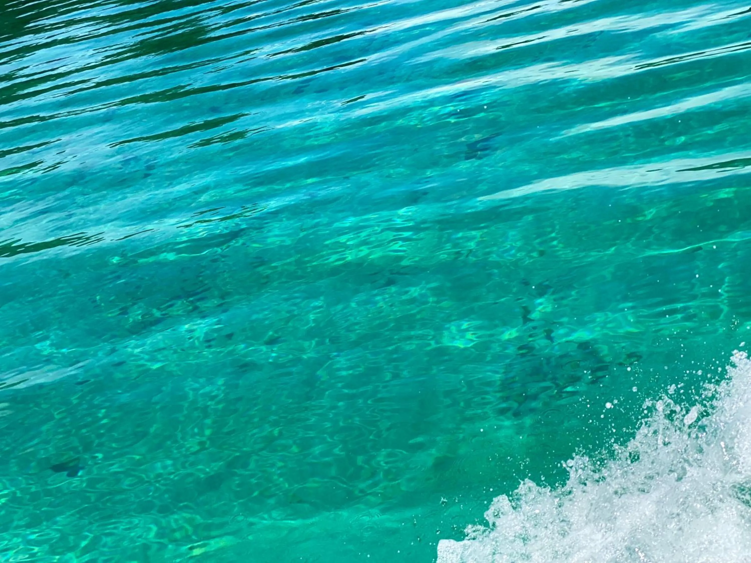 Natural landscape in Hotel Caribbean View