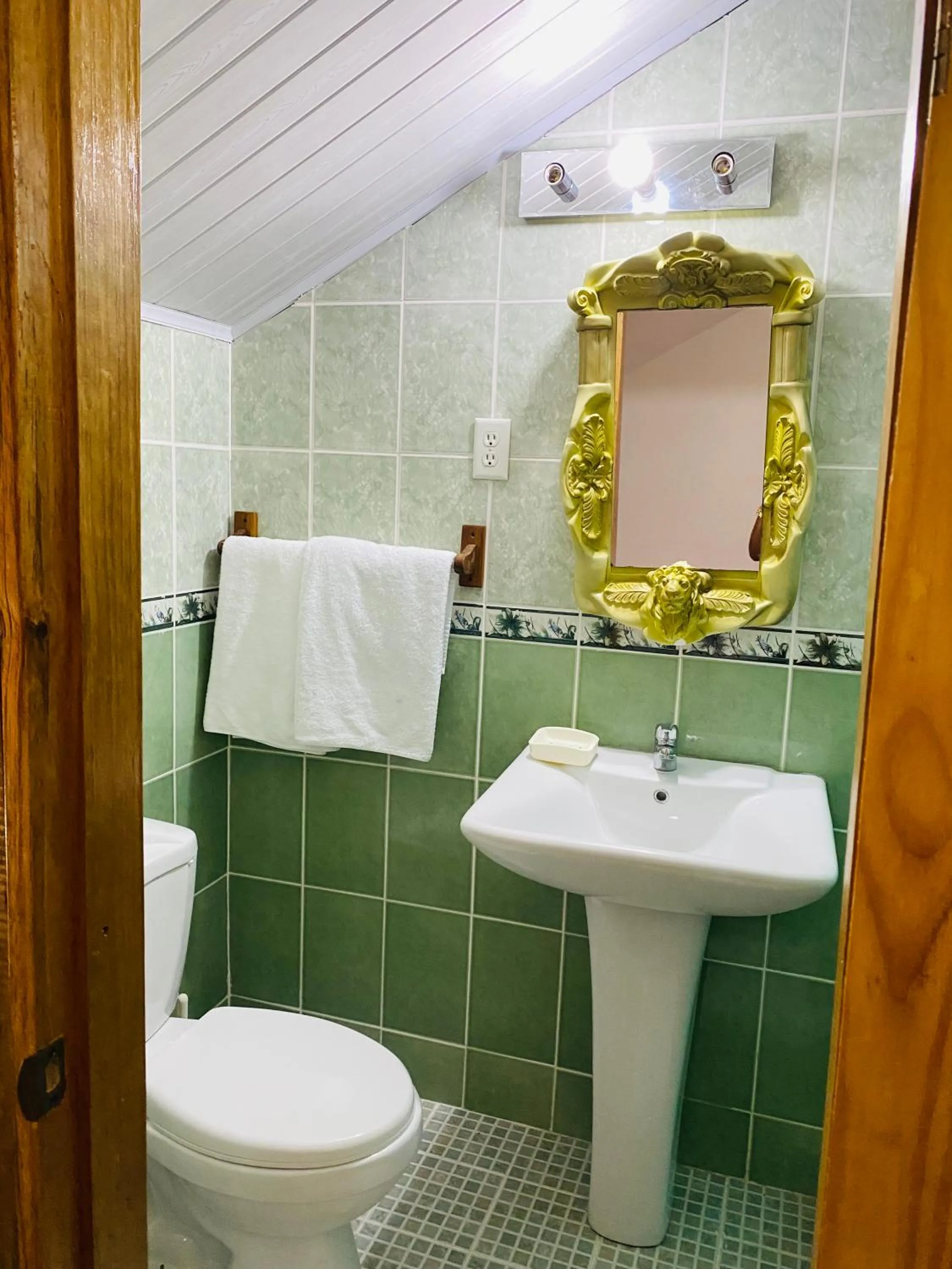 Bathroom in Hotel Caribbean View