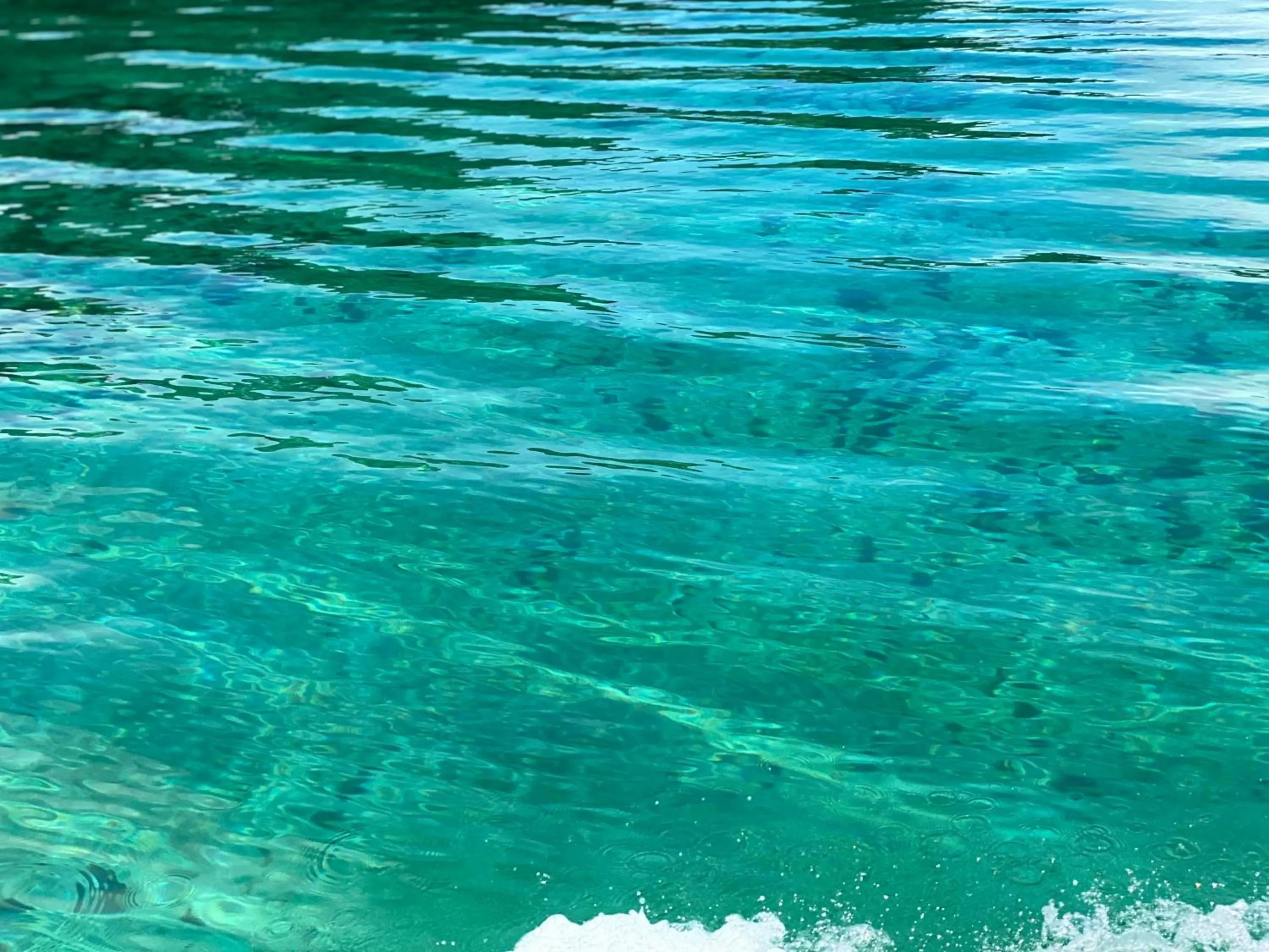 Hotel Caribbean View