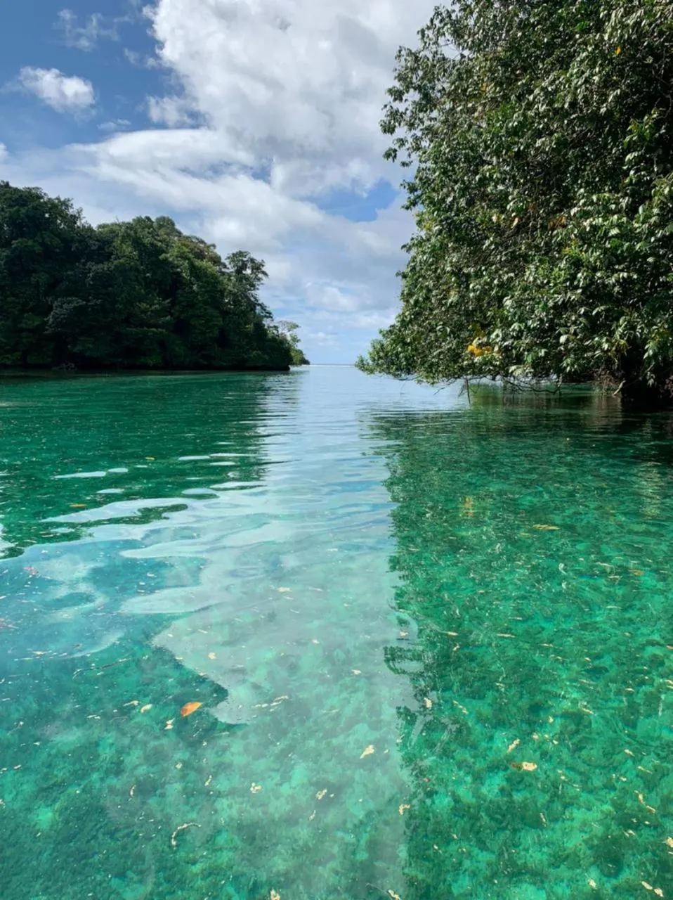 Natural landscape in Hotel Caribbean View