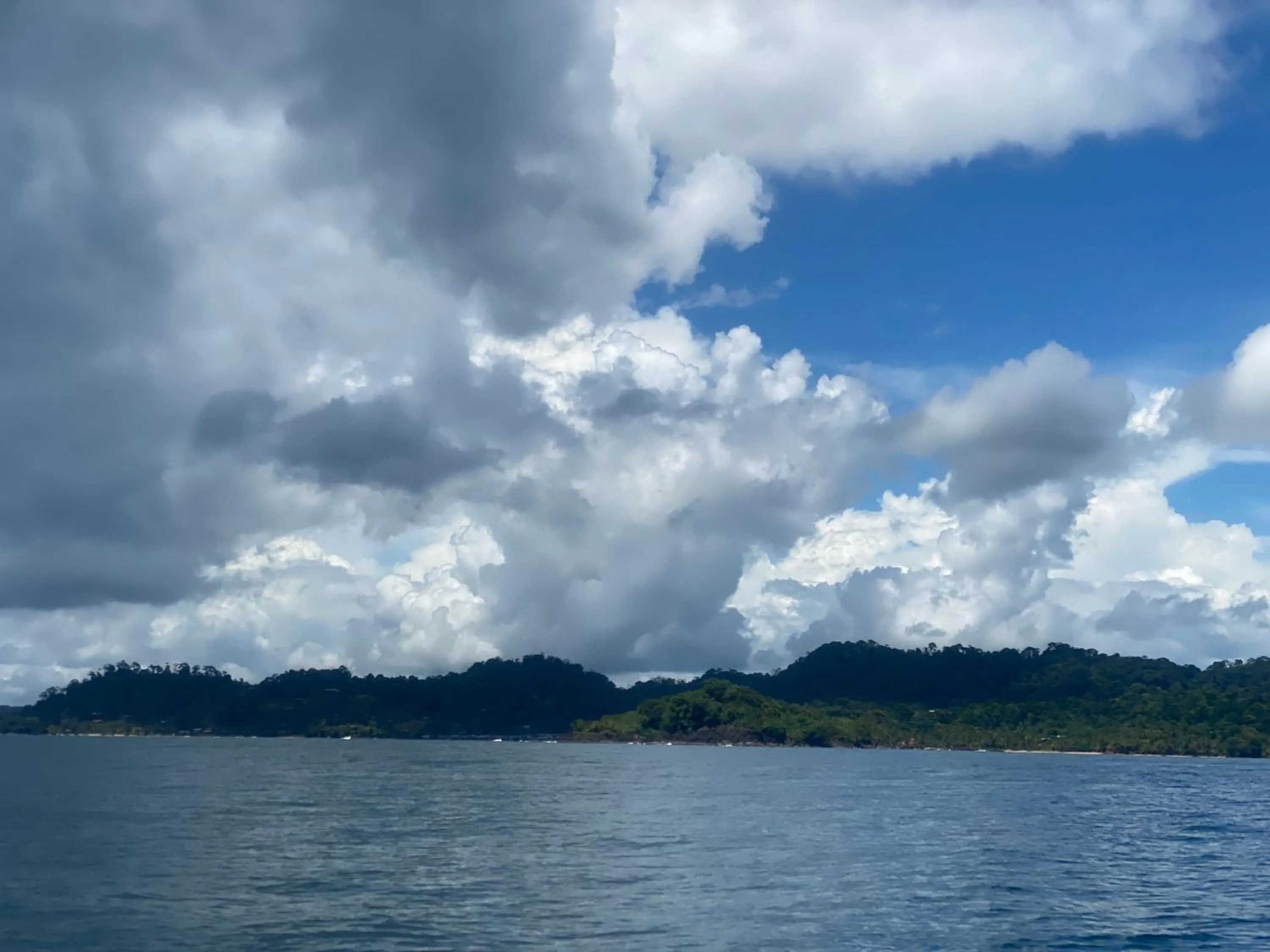 Natural landscape in Hotel Caribbean View