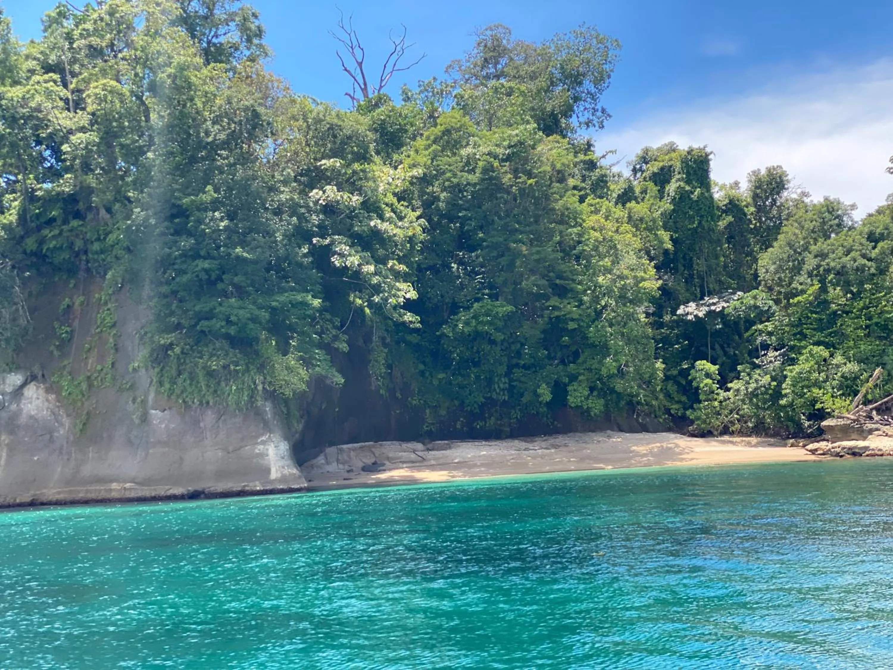 Hotel Caribbean View