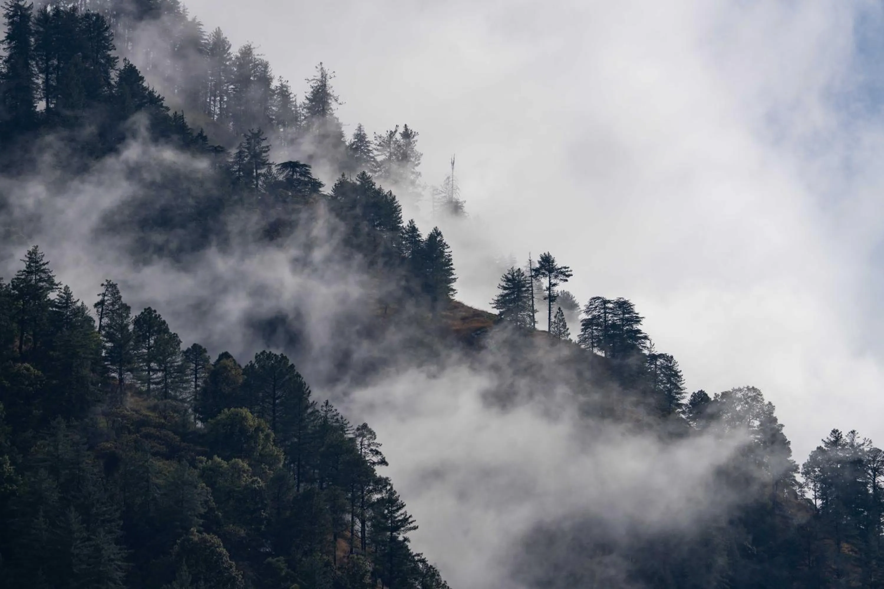 Natural landscape in Zostel Kasol (Katagla)