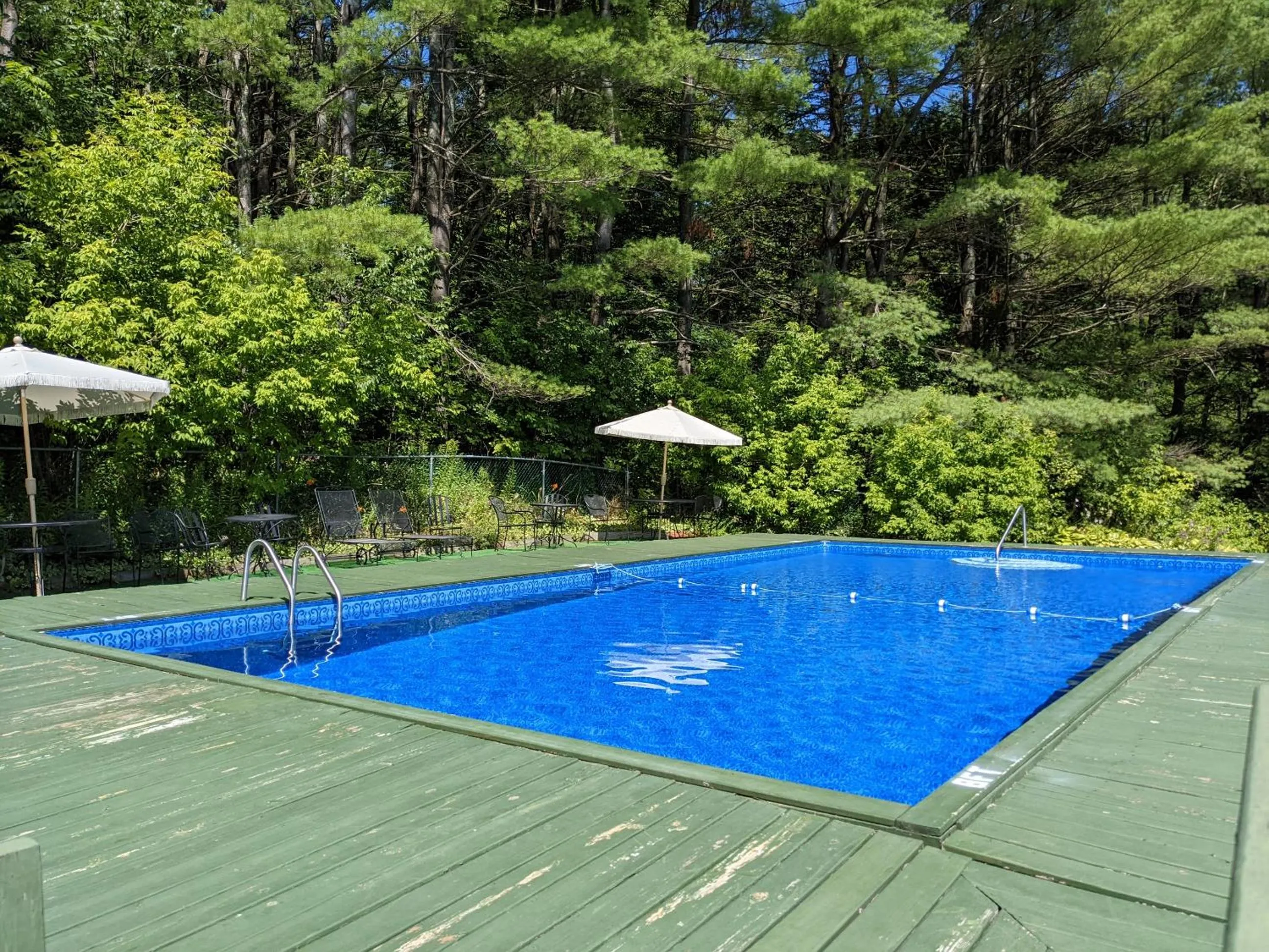 Swimming pool in North Shire Lodge