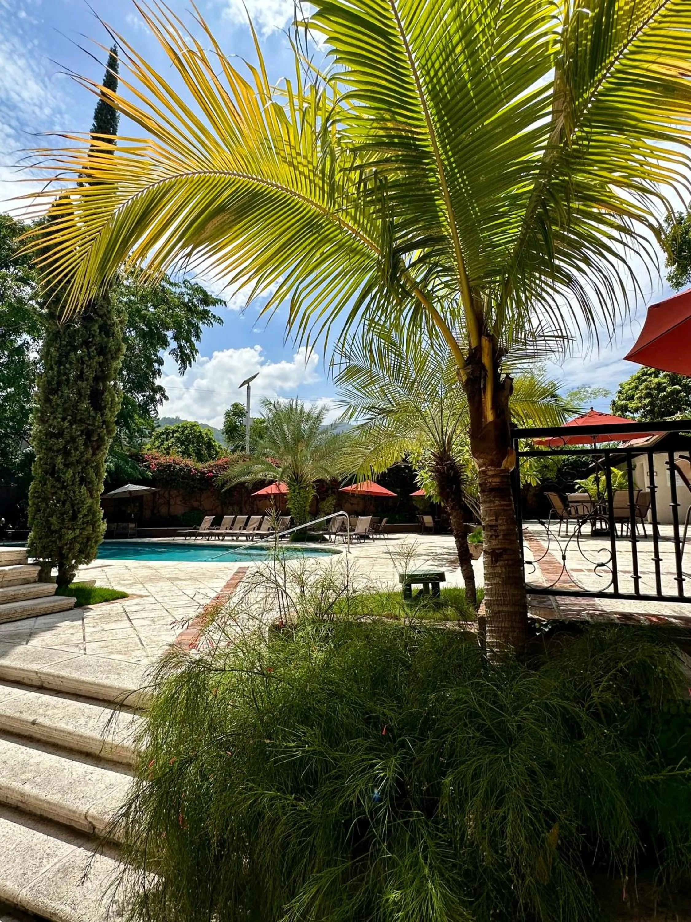 Swimming pool in Hotel Villa Therese
