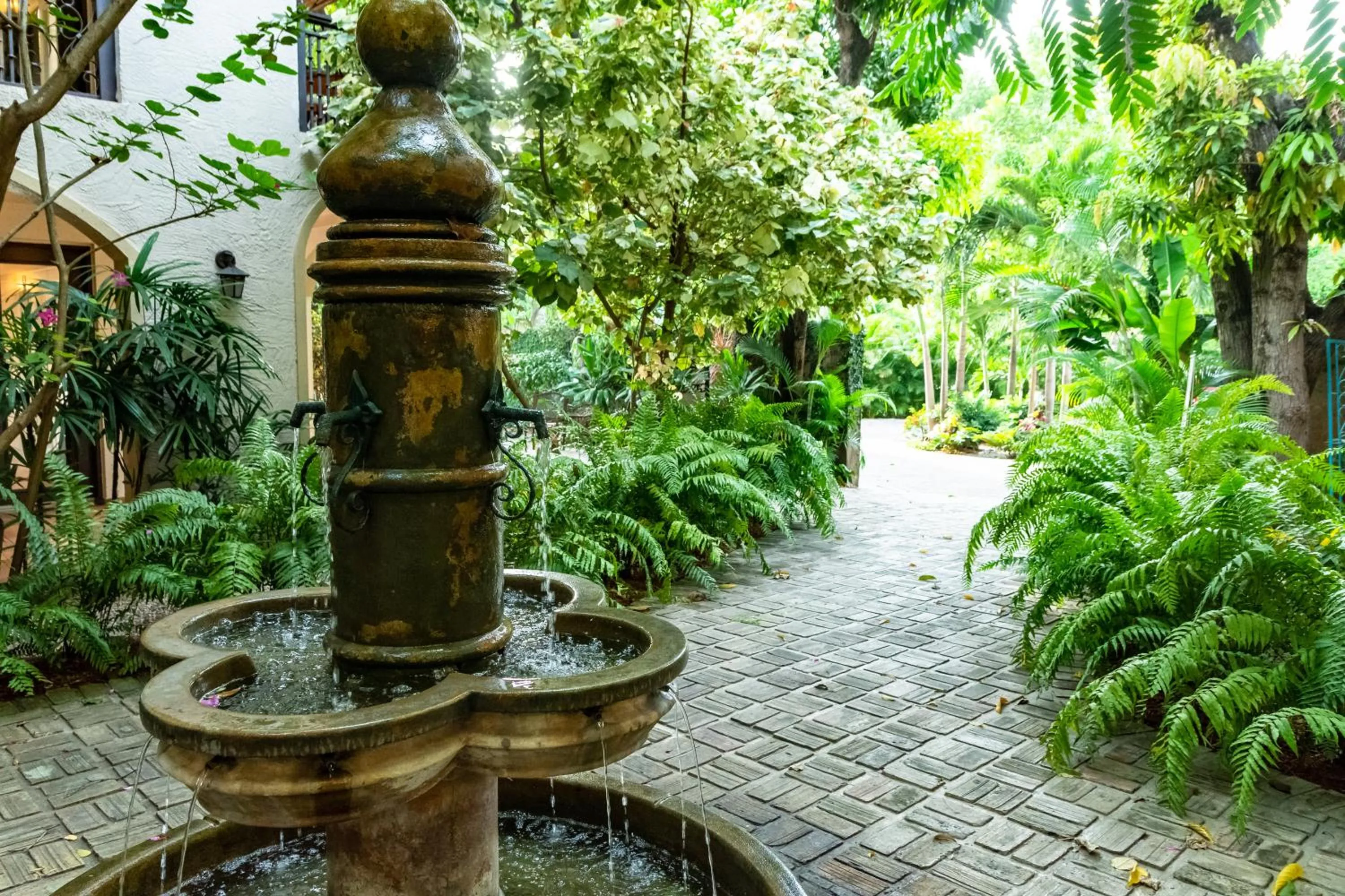 Garden in Hotel Villa Therese