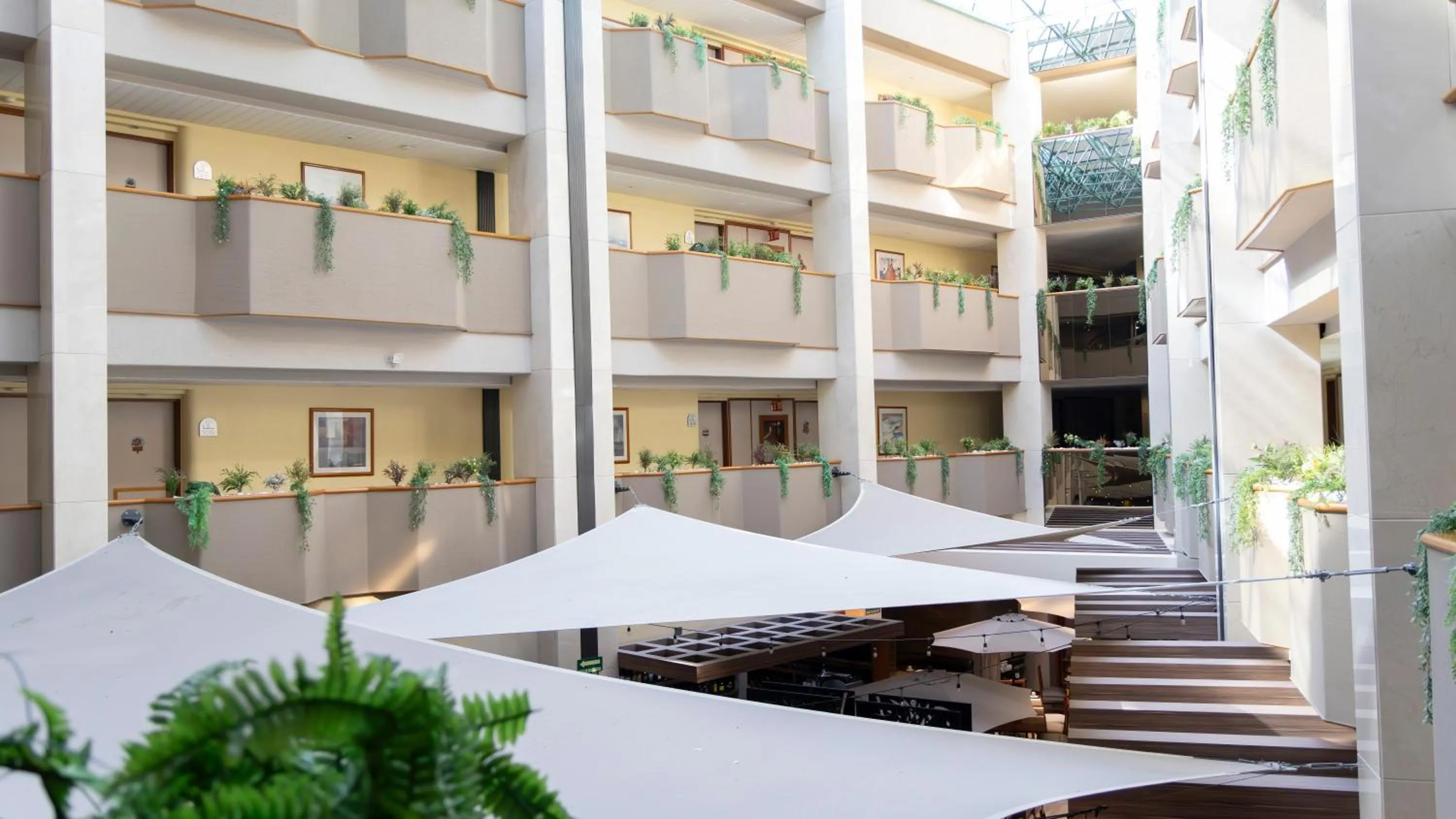 View (from property/room) in Hotel Abastos Plaza