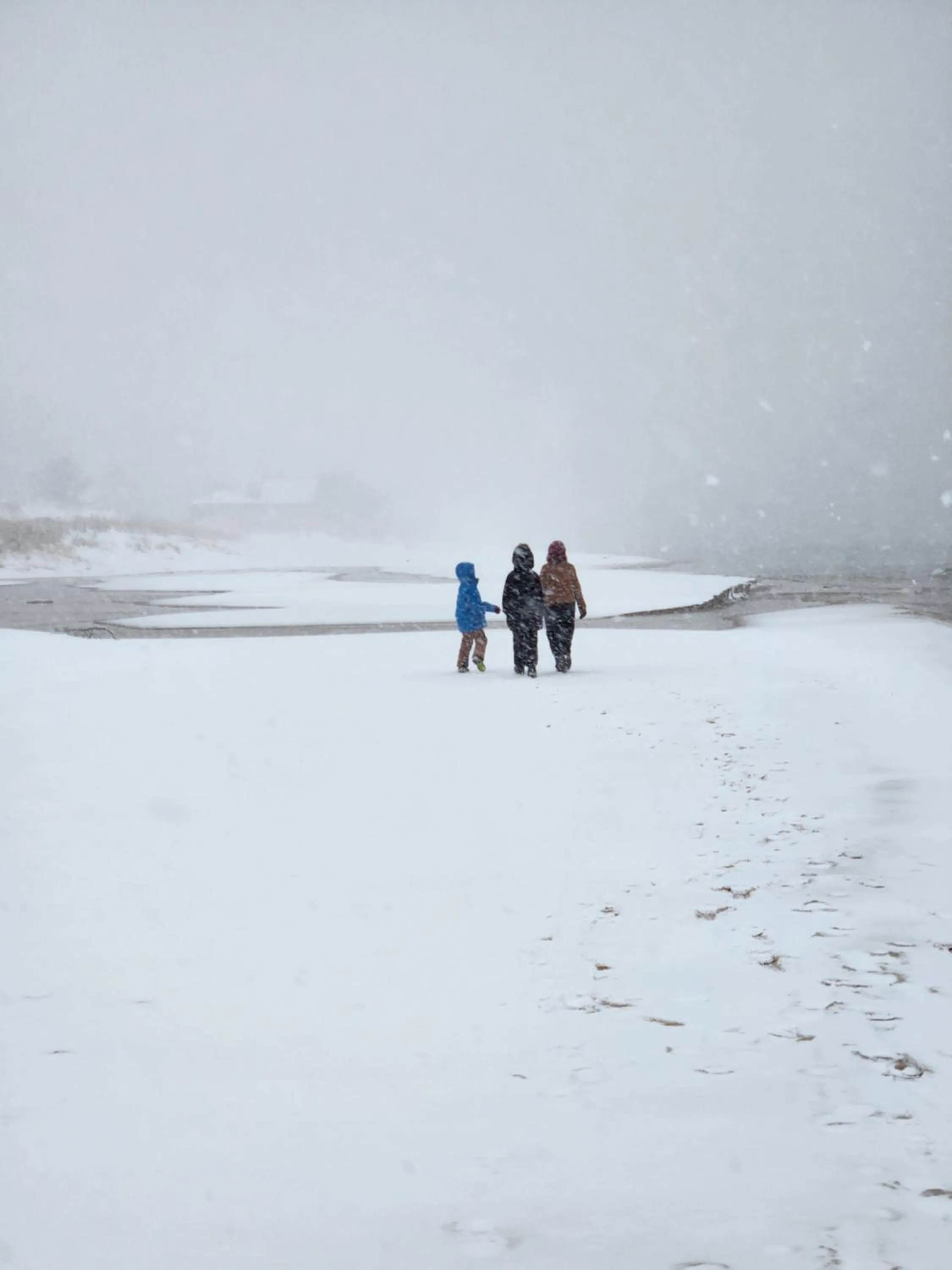 Natural landscape in Weathervane Inn