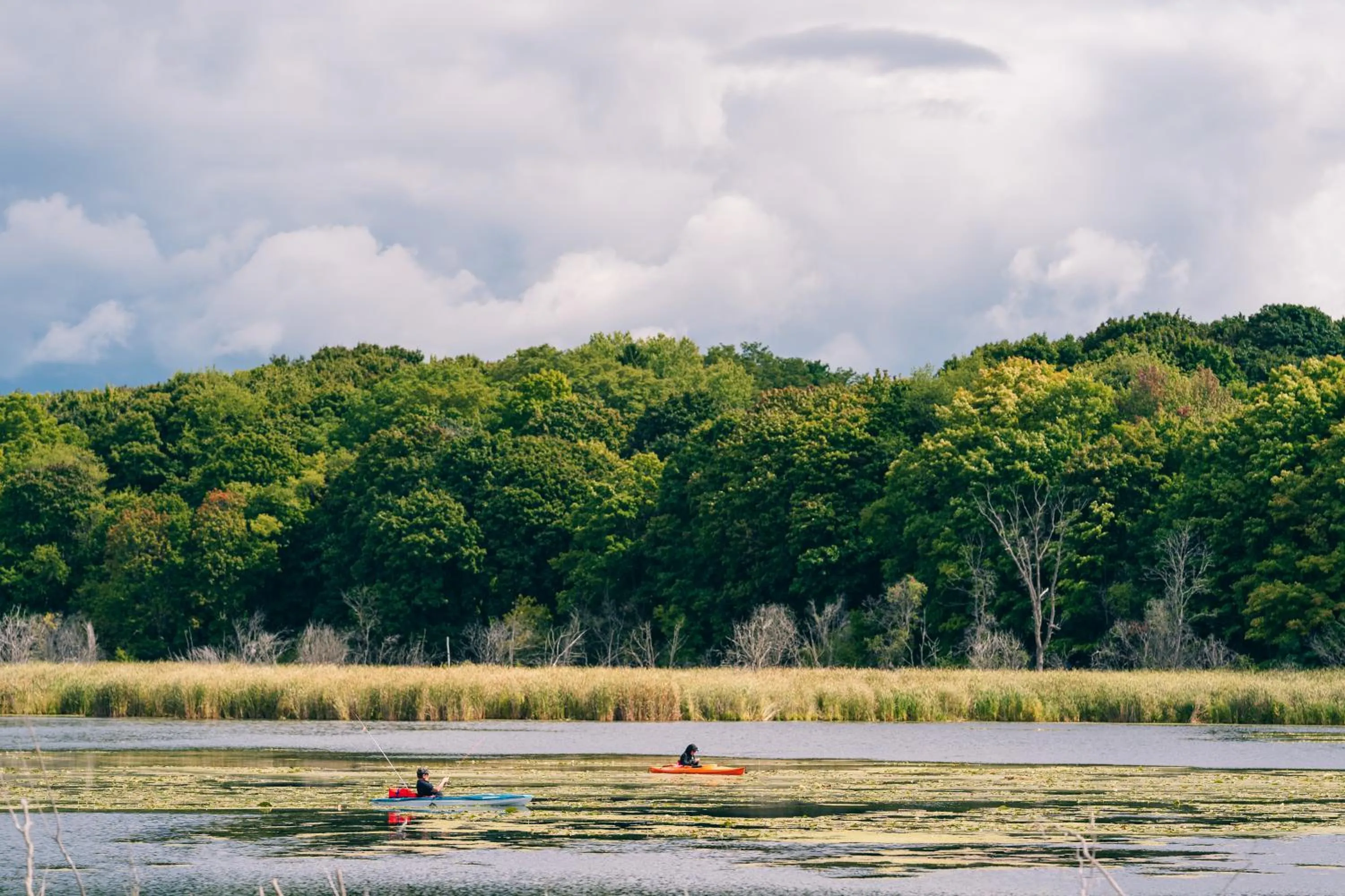 Spring in Weathervane Inn