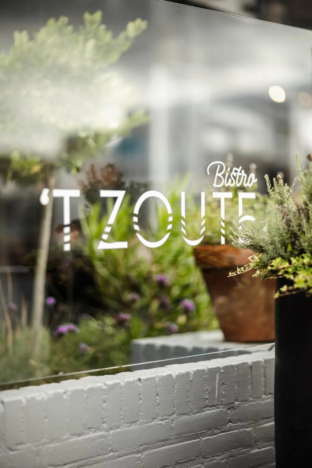 Restaurant/places to eat in Strandhotel Zoutelande