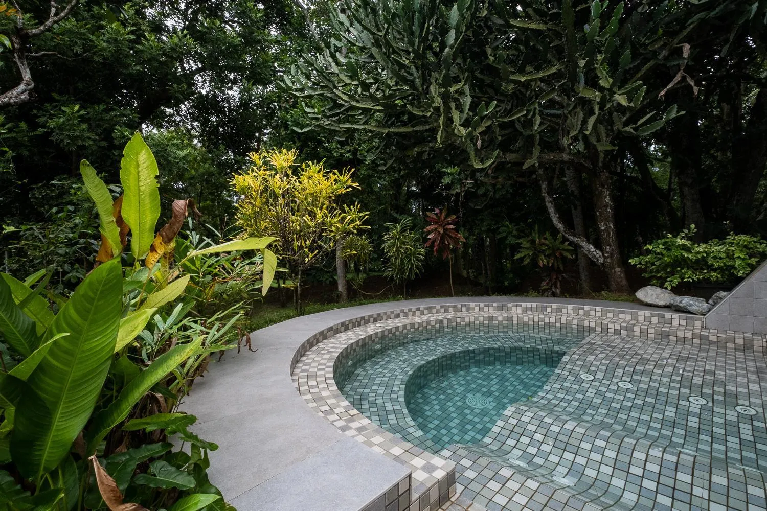 Day in Horathapola Estate