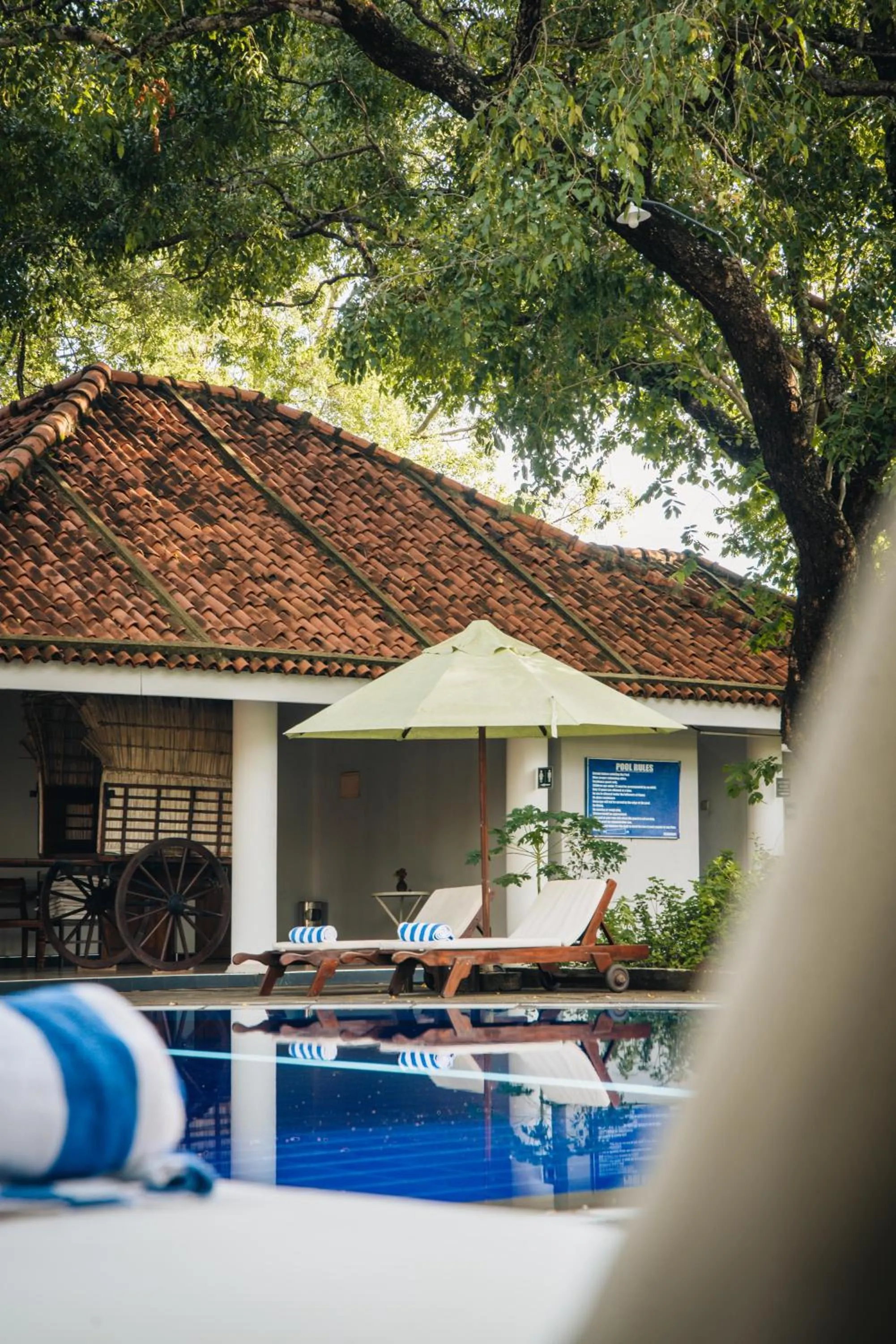 Swimming pool in Gimanhala Hotel