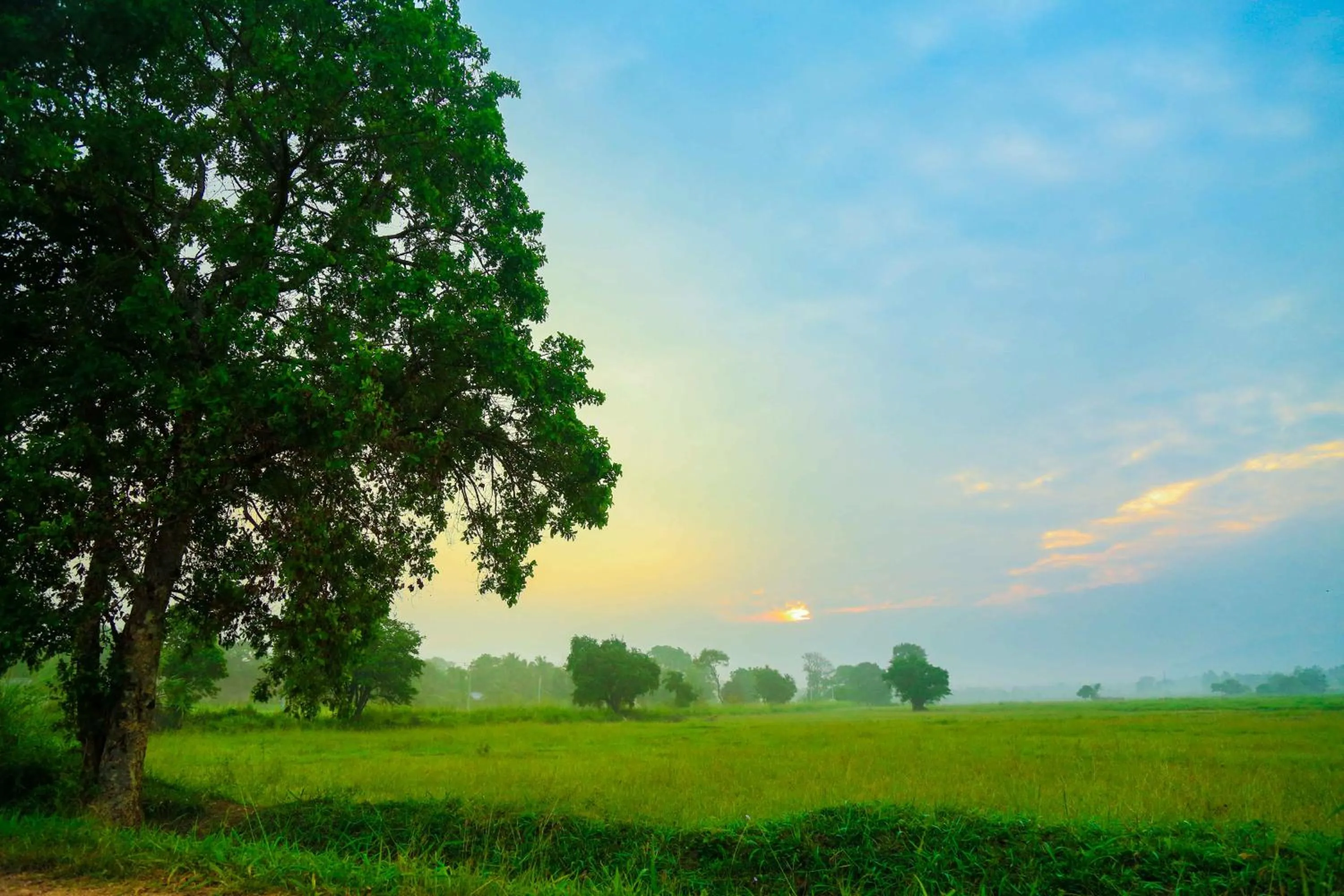 Natural landscape in Gimanhala Hotel