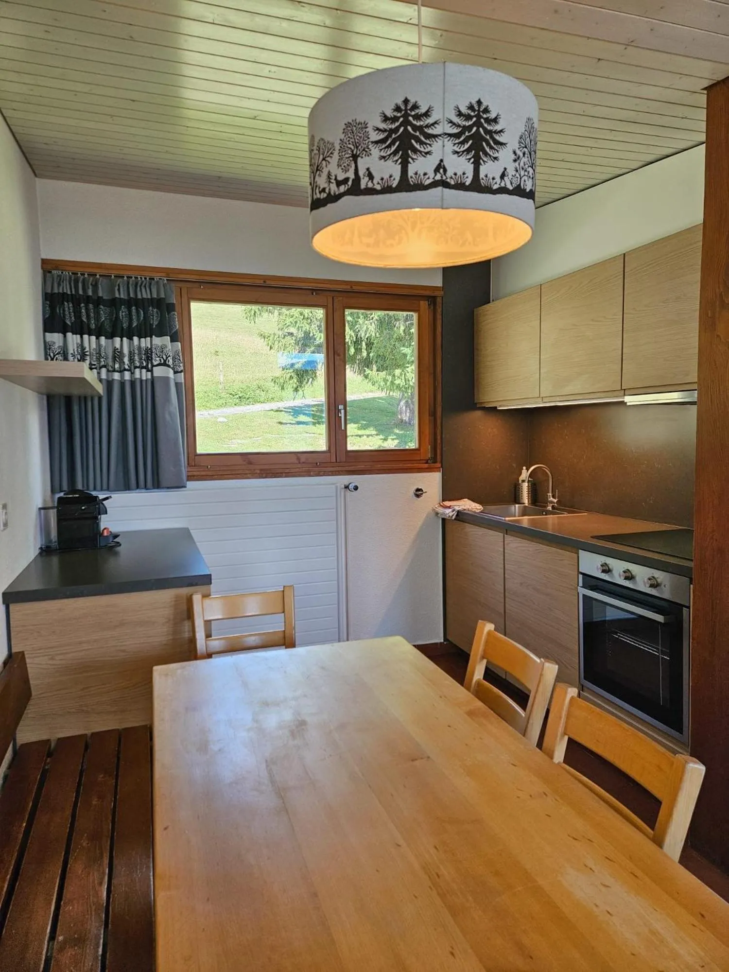 Kitchen or kitchenette in Leysin Lodge