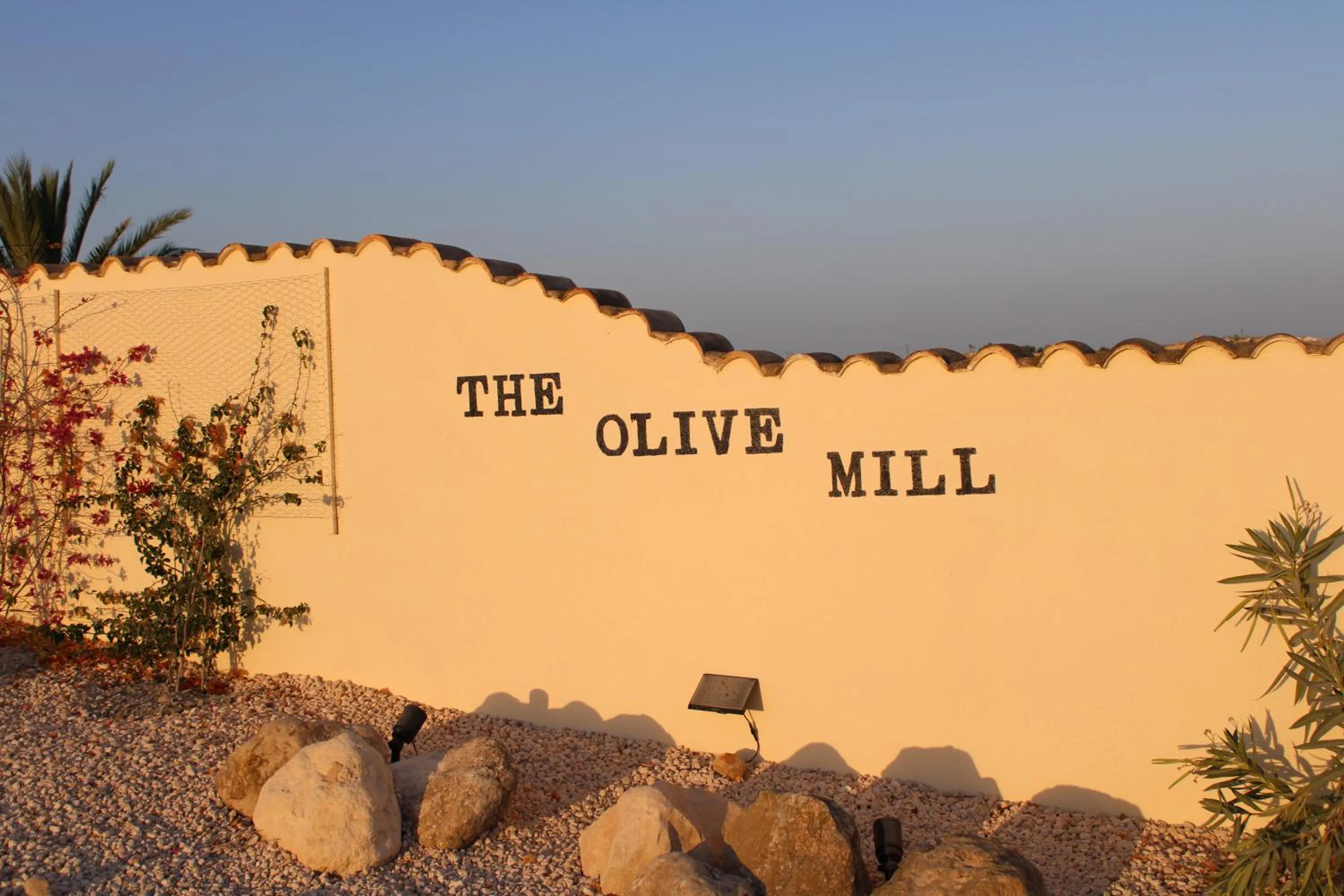 Street view in The Olive Mill
