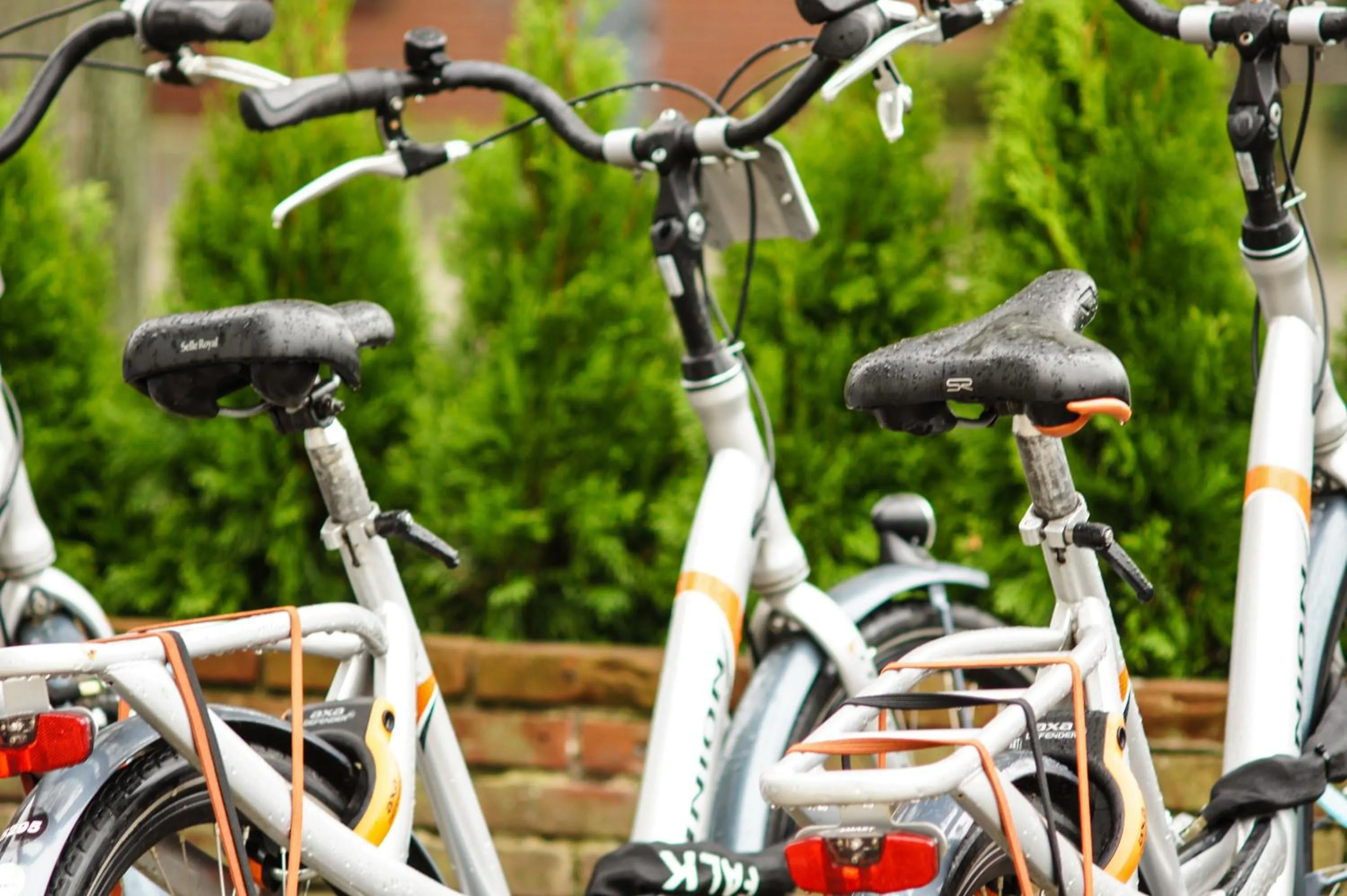 Other in Hotel Corel