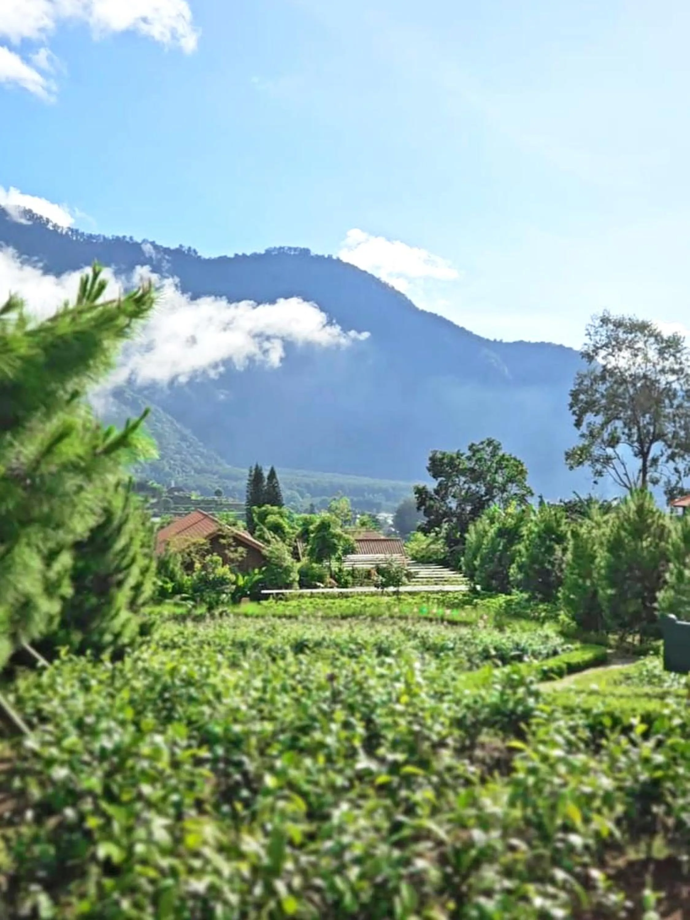 Property building in Dusun Bedugul Asri