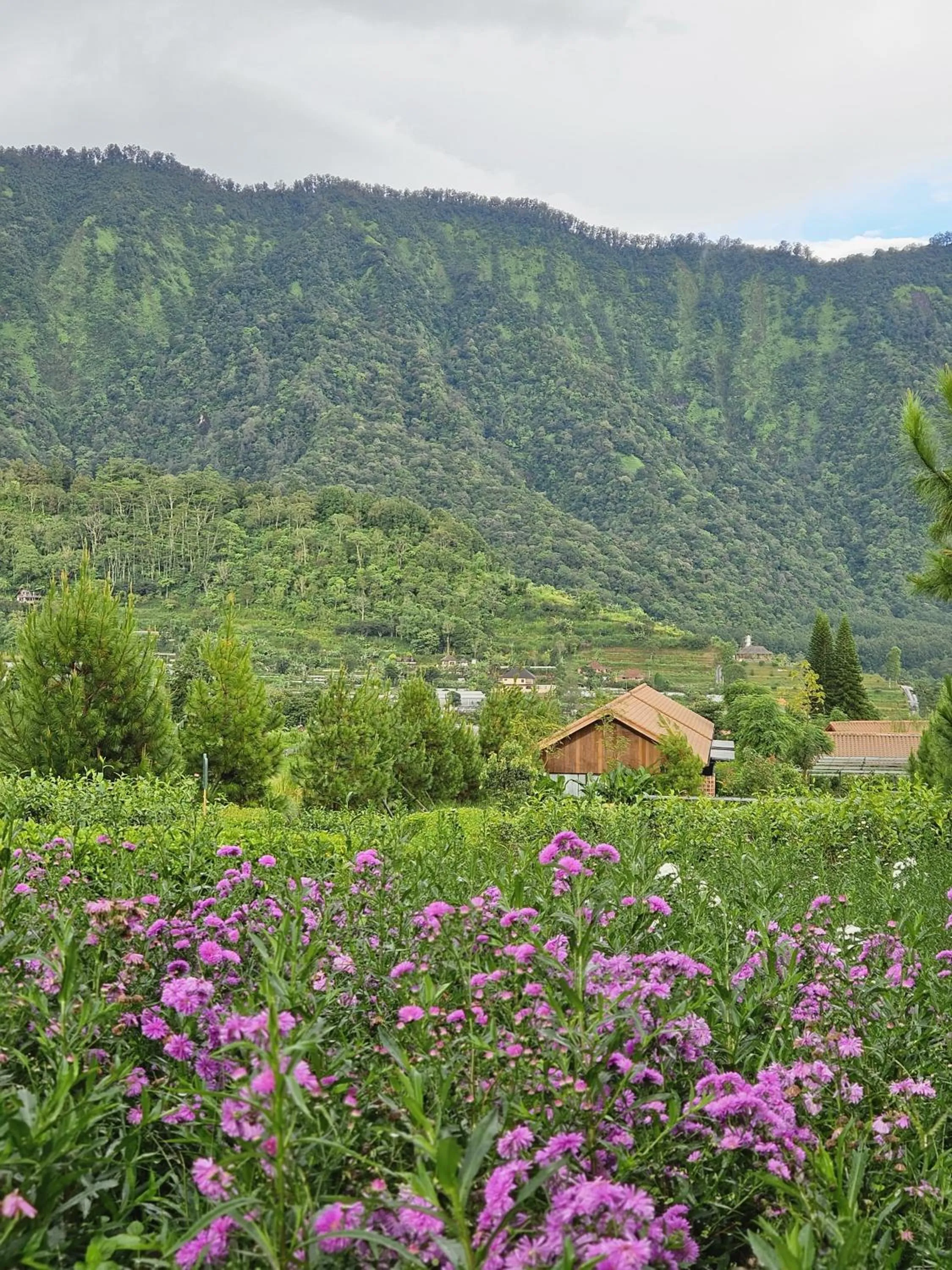 Property building in Dusun Bedugul Asri