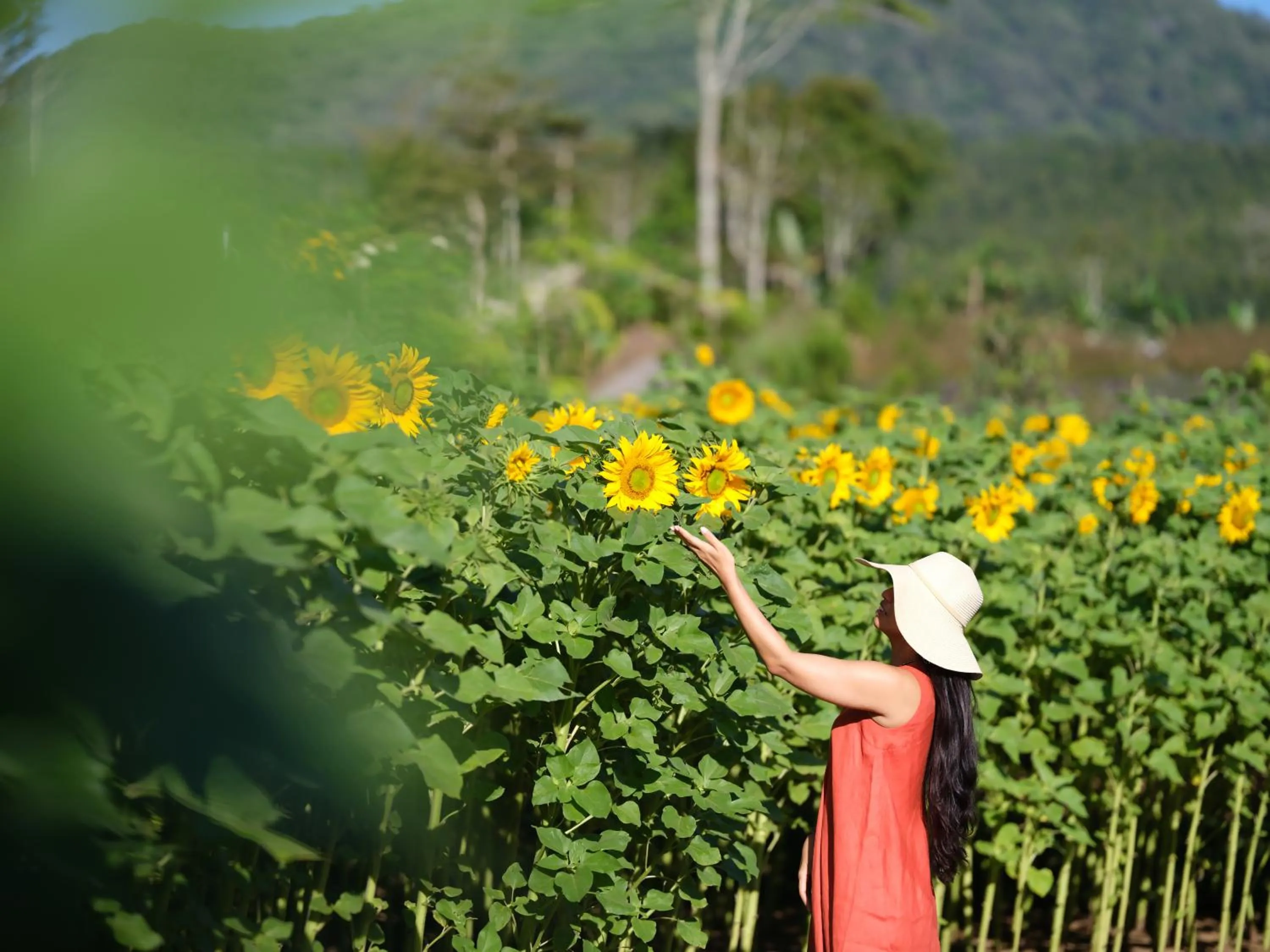 Property building in Dusun Bedugul Asri