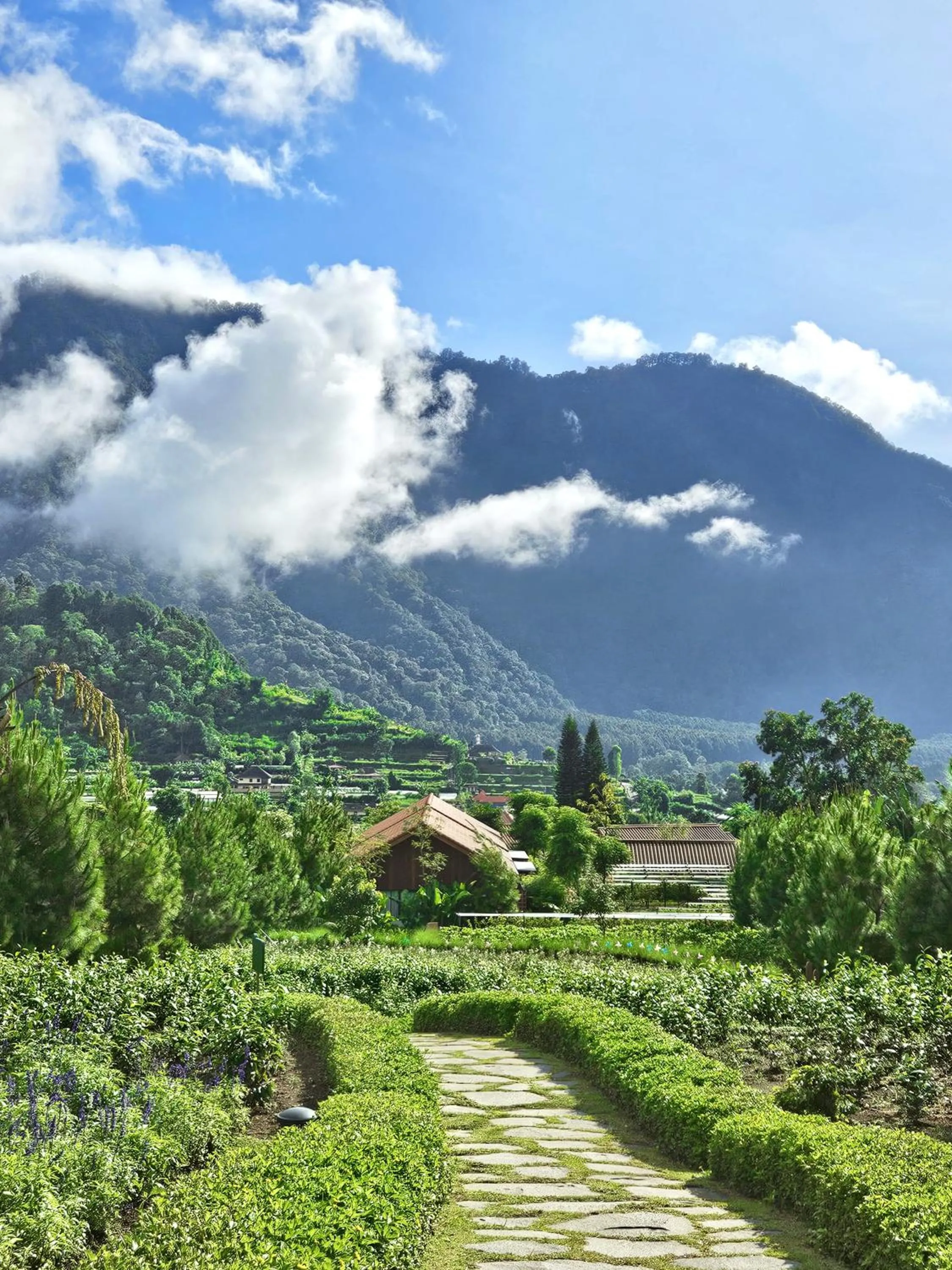 Property building in Dusun Bedugul Asri