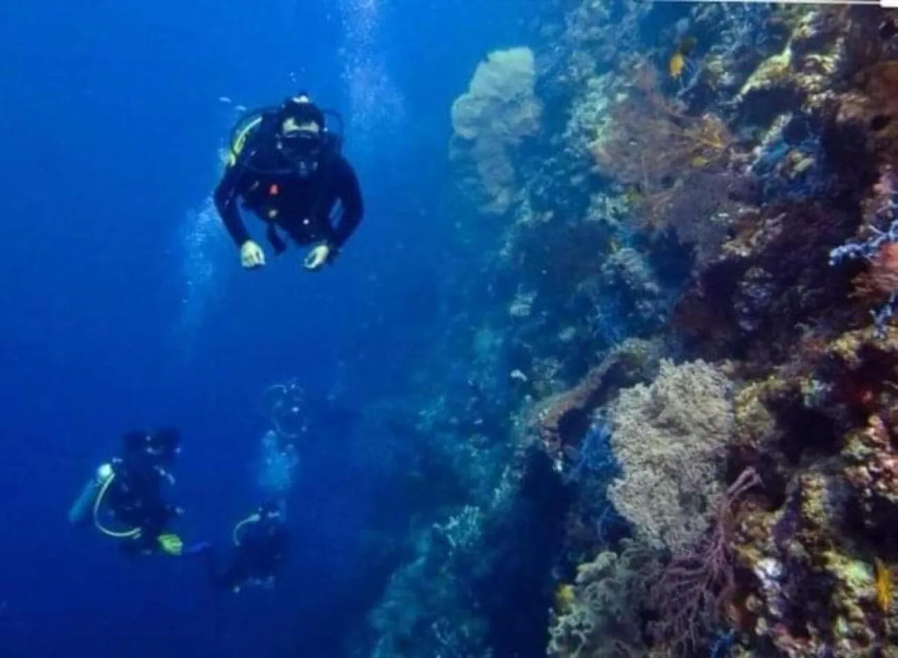 Activities in Maha Nusa Menjangan