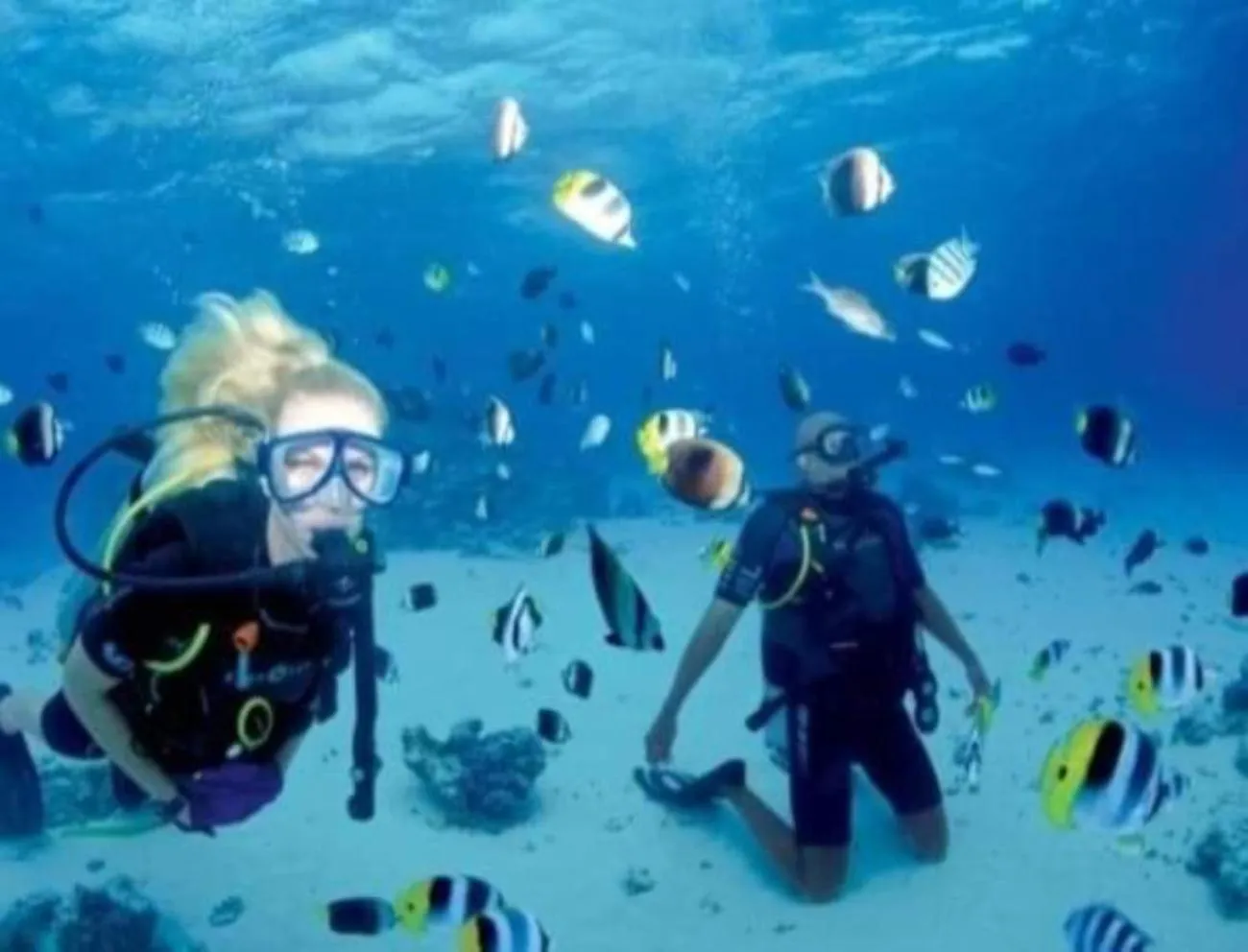 Activities in Maha Nusa Menjangan