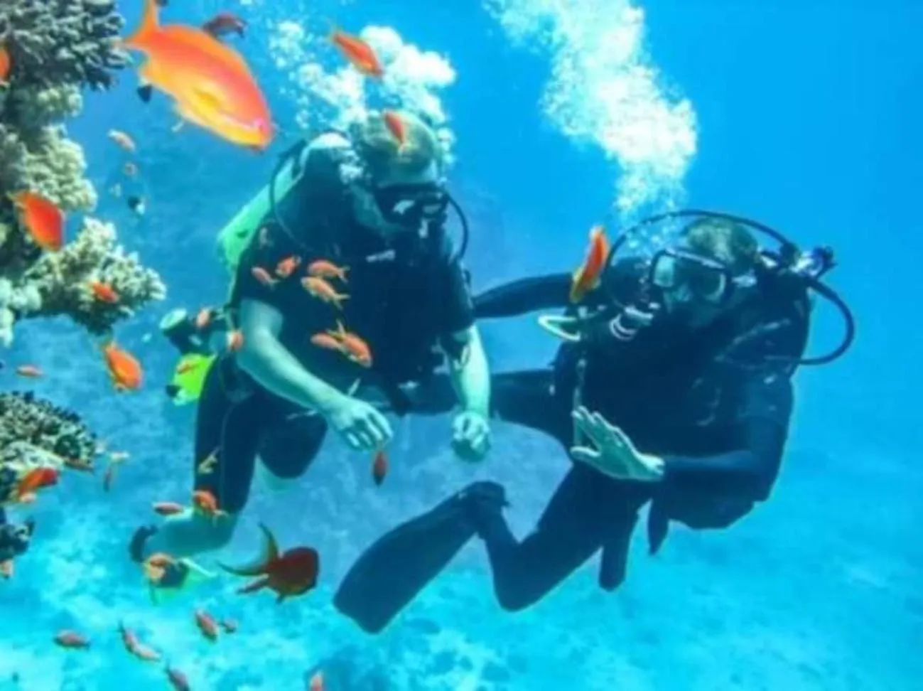 Activities in Maha Nusa Menjangan