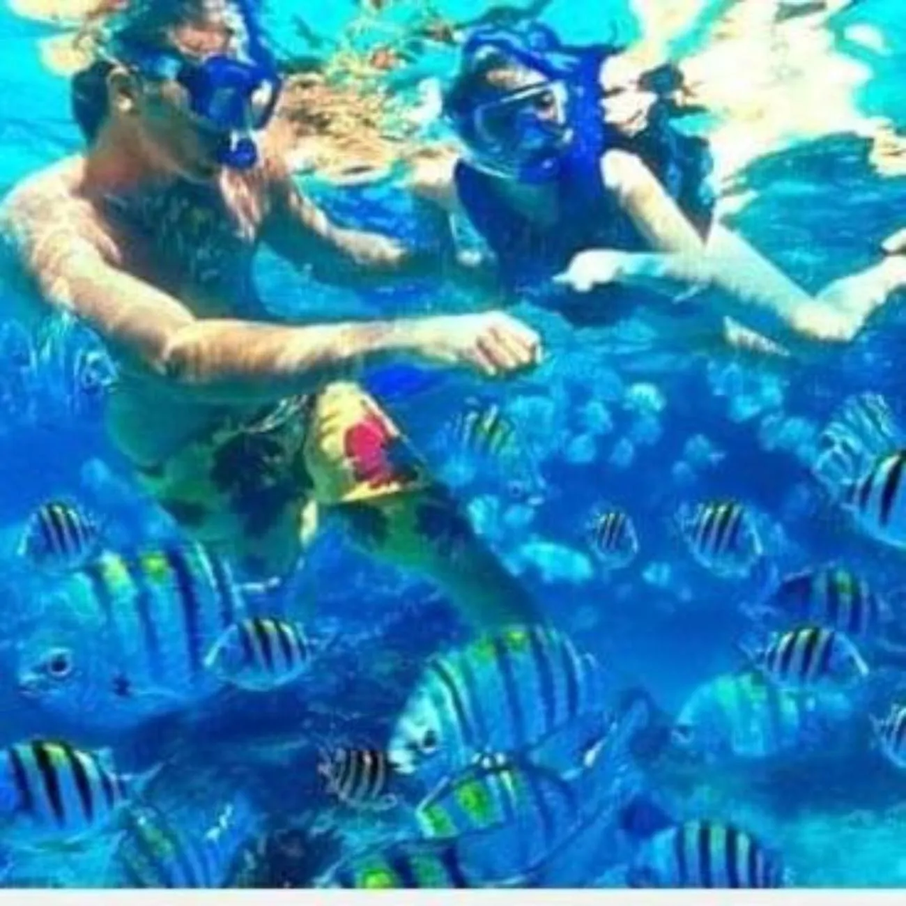 Activities in Maha Nusa Menjangan