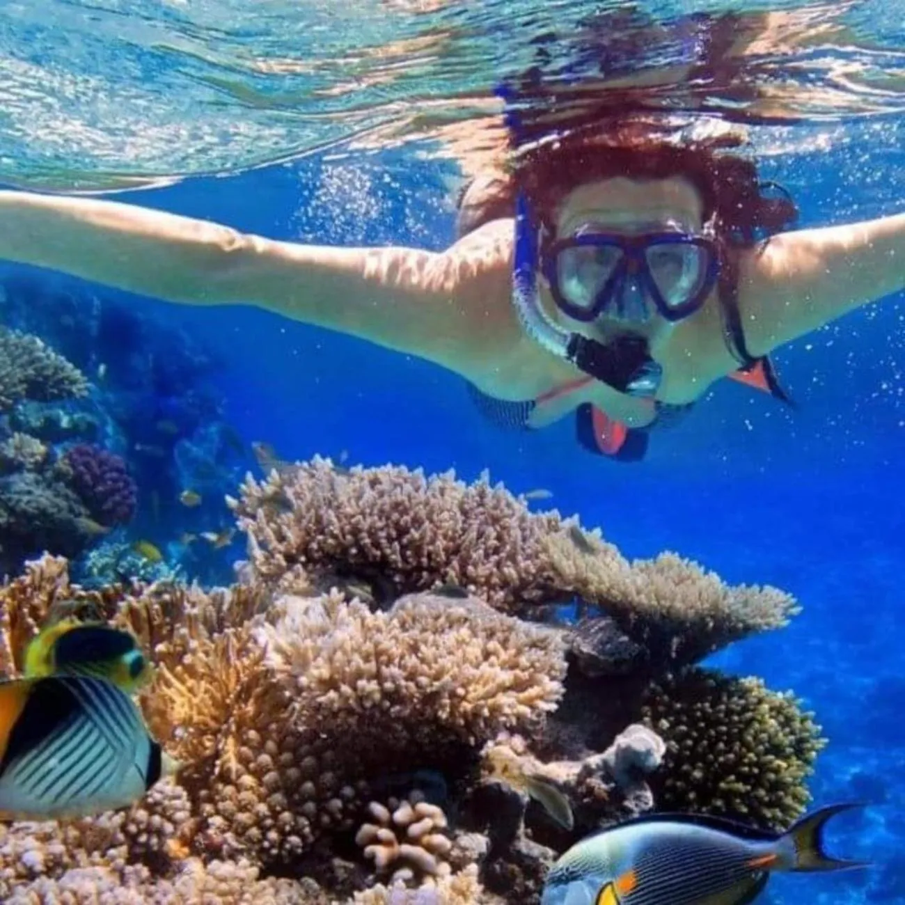 Activities in Maha Nusa Menjangan