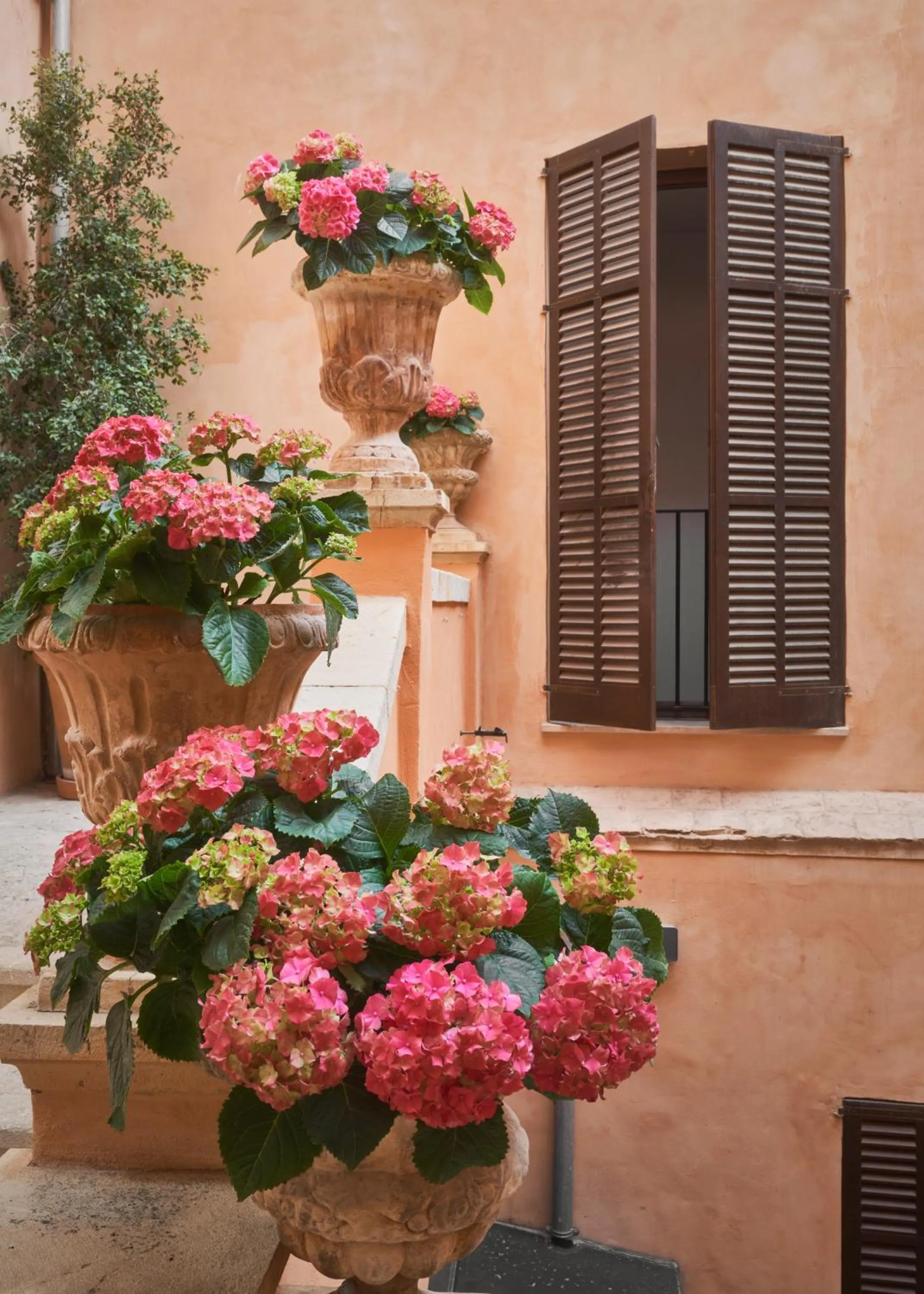 Patio in Boutique Hotel Posada Terra Santa