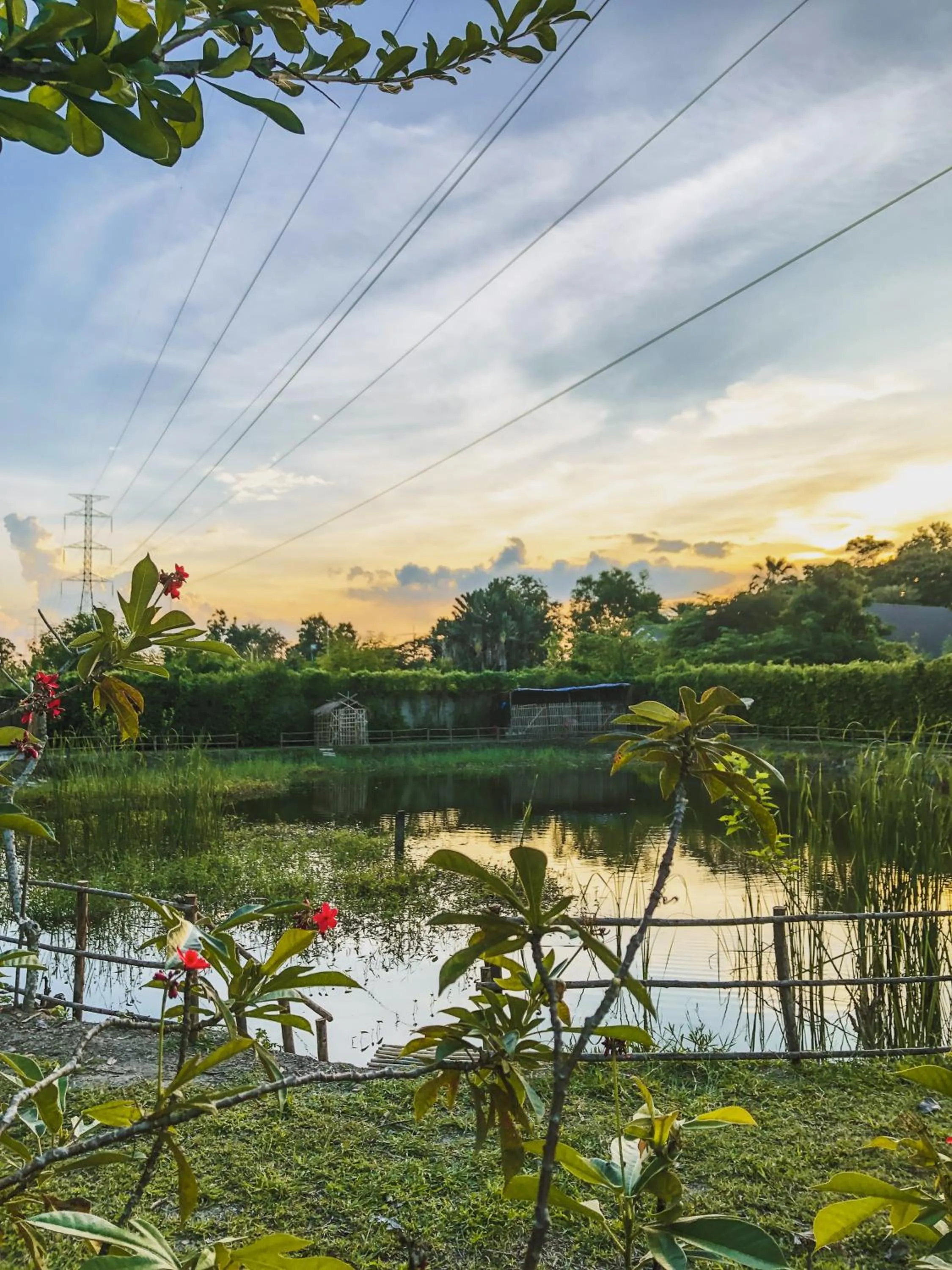 Natural landscape in Beaver Club Homestay