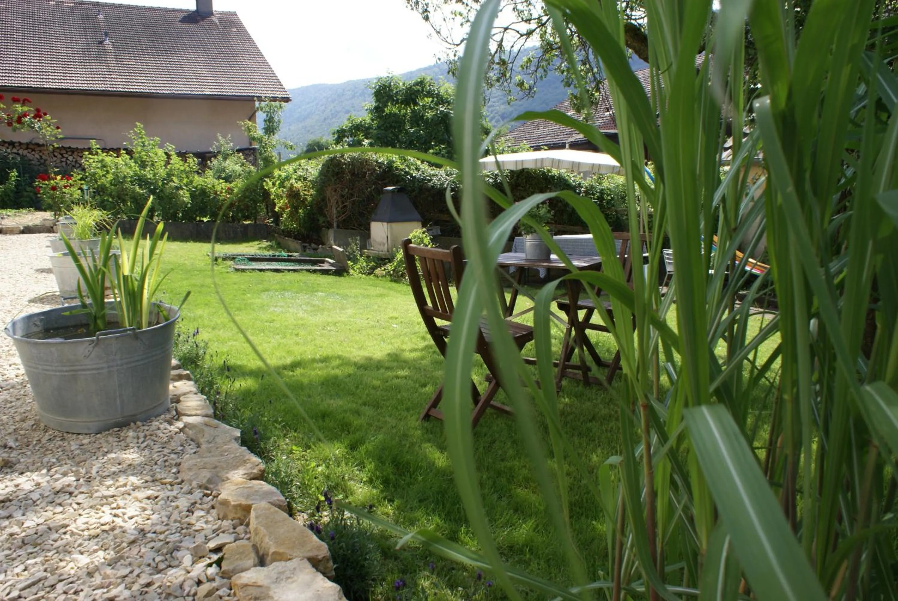 Garden in Carpe Diem - Bnb - Chambres d'hôtes