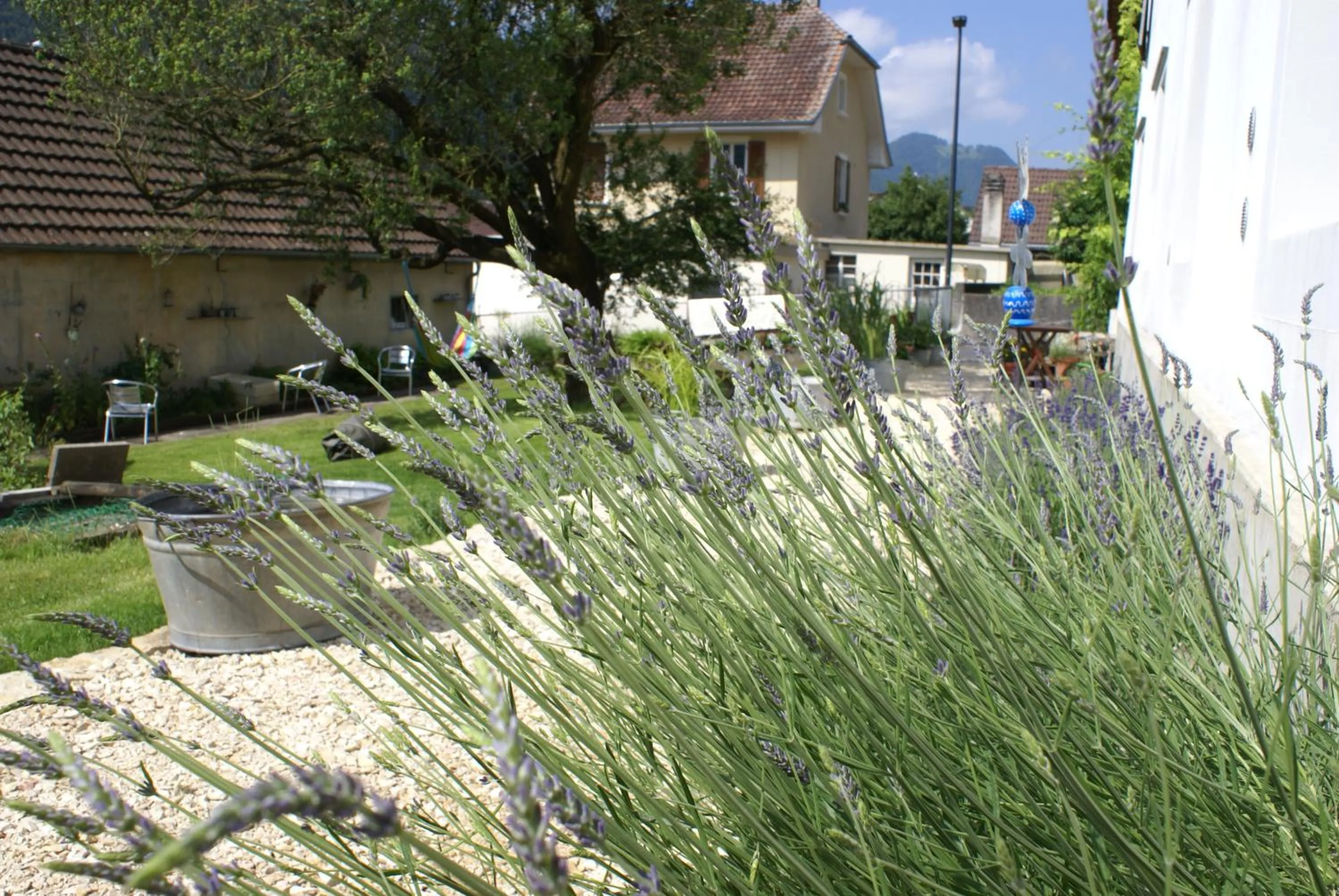Garden in Carpe Diem - Bnb - Chambres d'hôtes