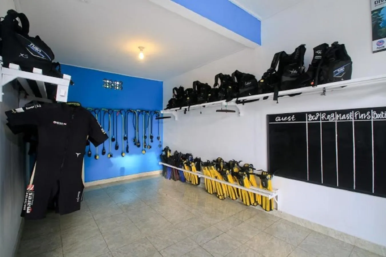 Diving in Amed Harmony Bungalows And Villas