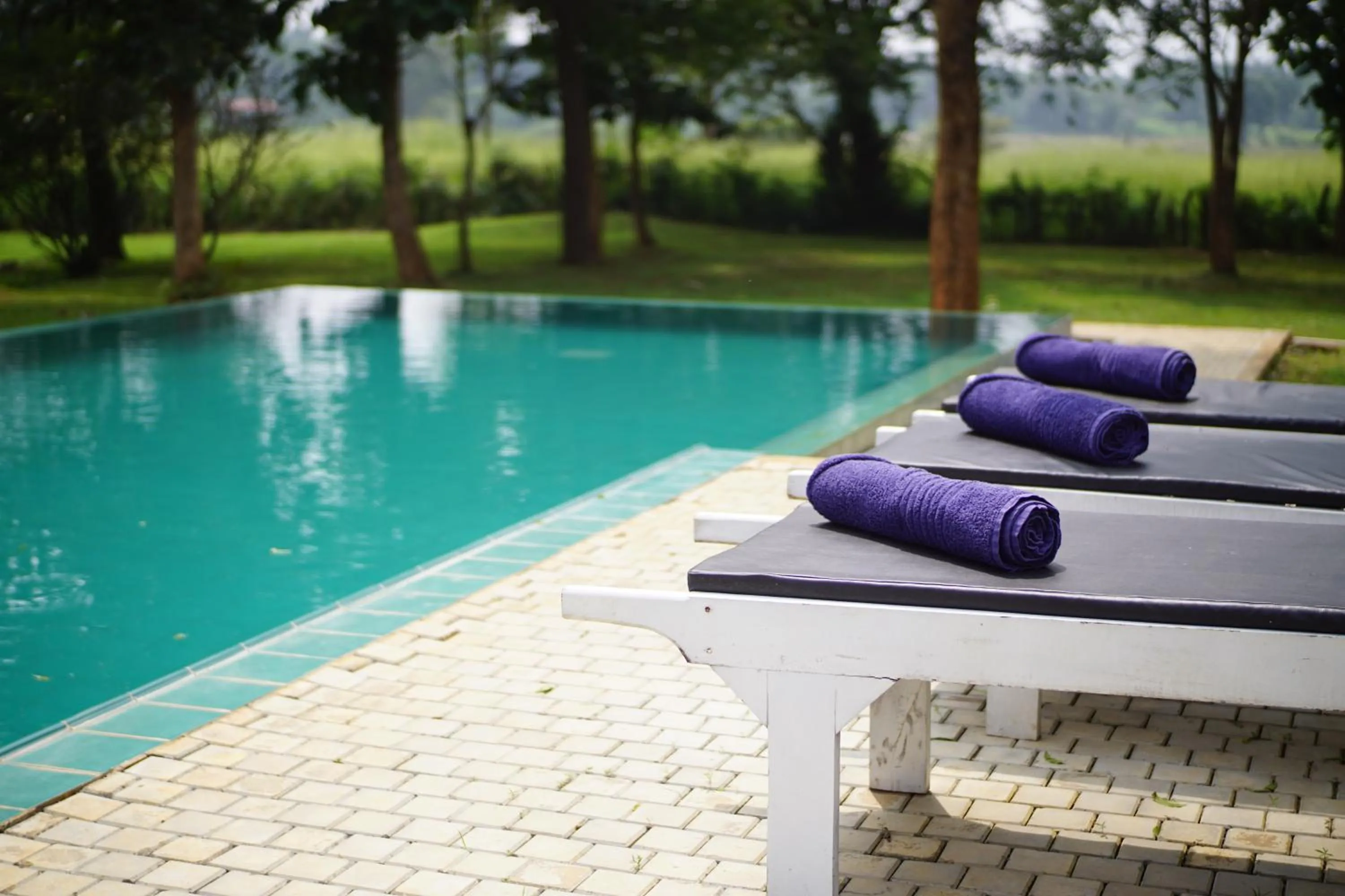 Swimming pool in Sevanagama