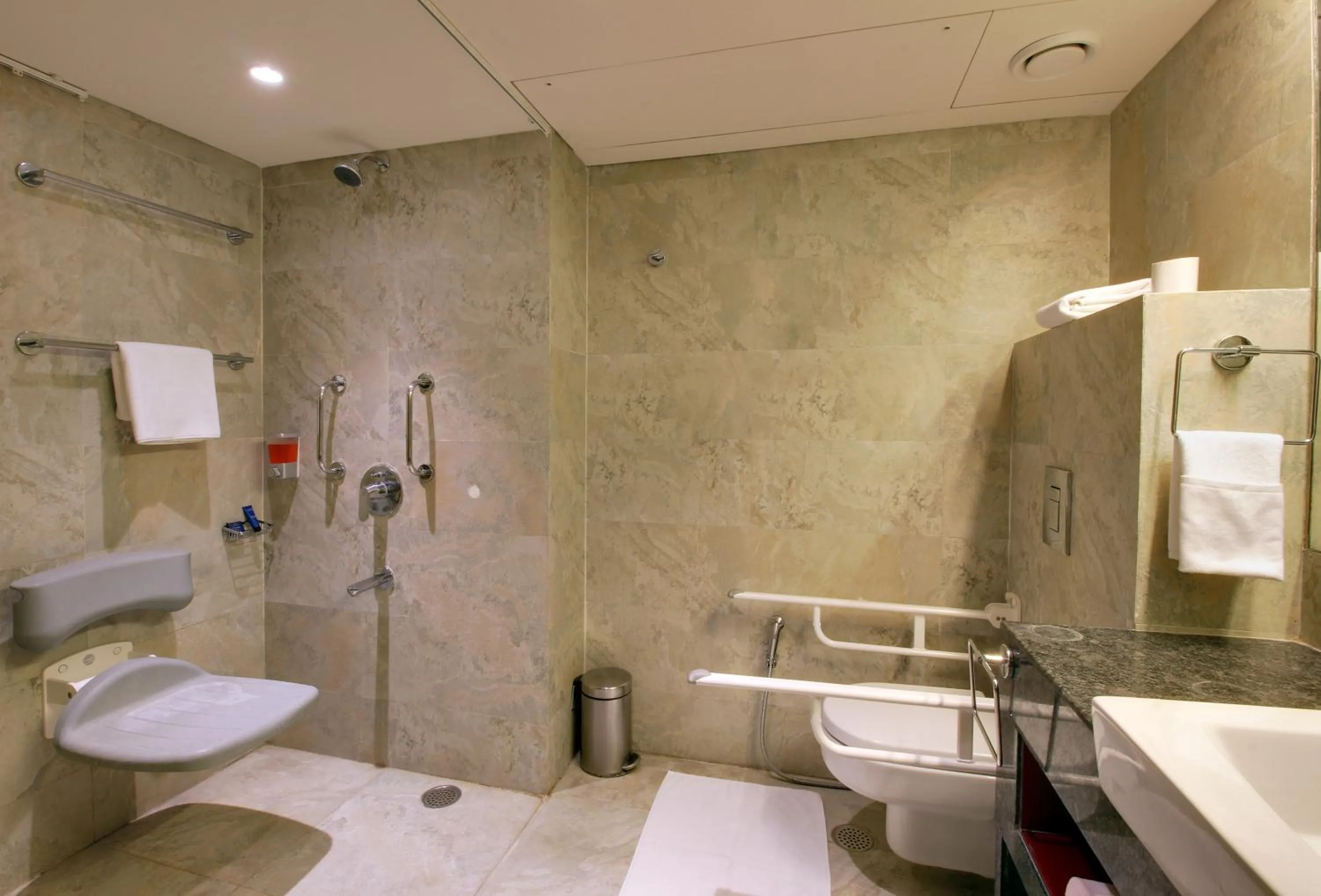 Temple Tree Hotel Shirdi, a member of Radisson Individuals