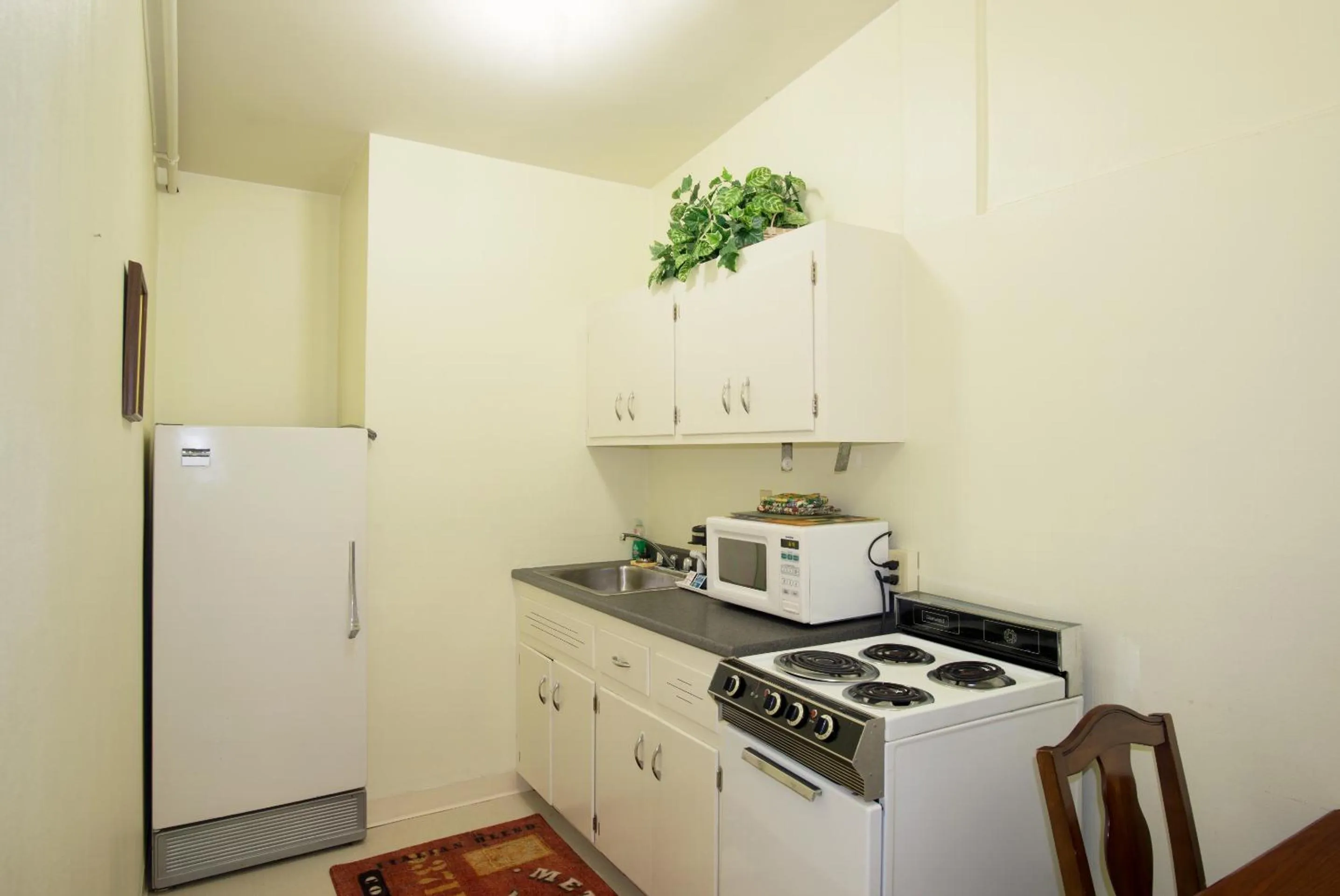 Kitchen or kitchenette in Downtown Dover Inn