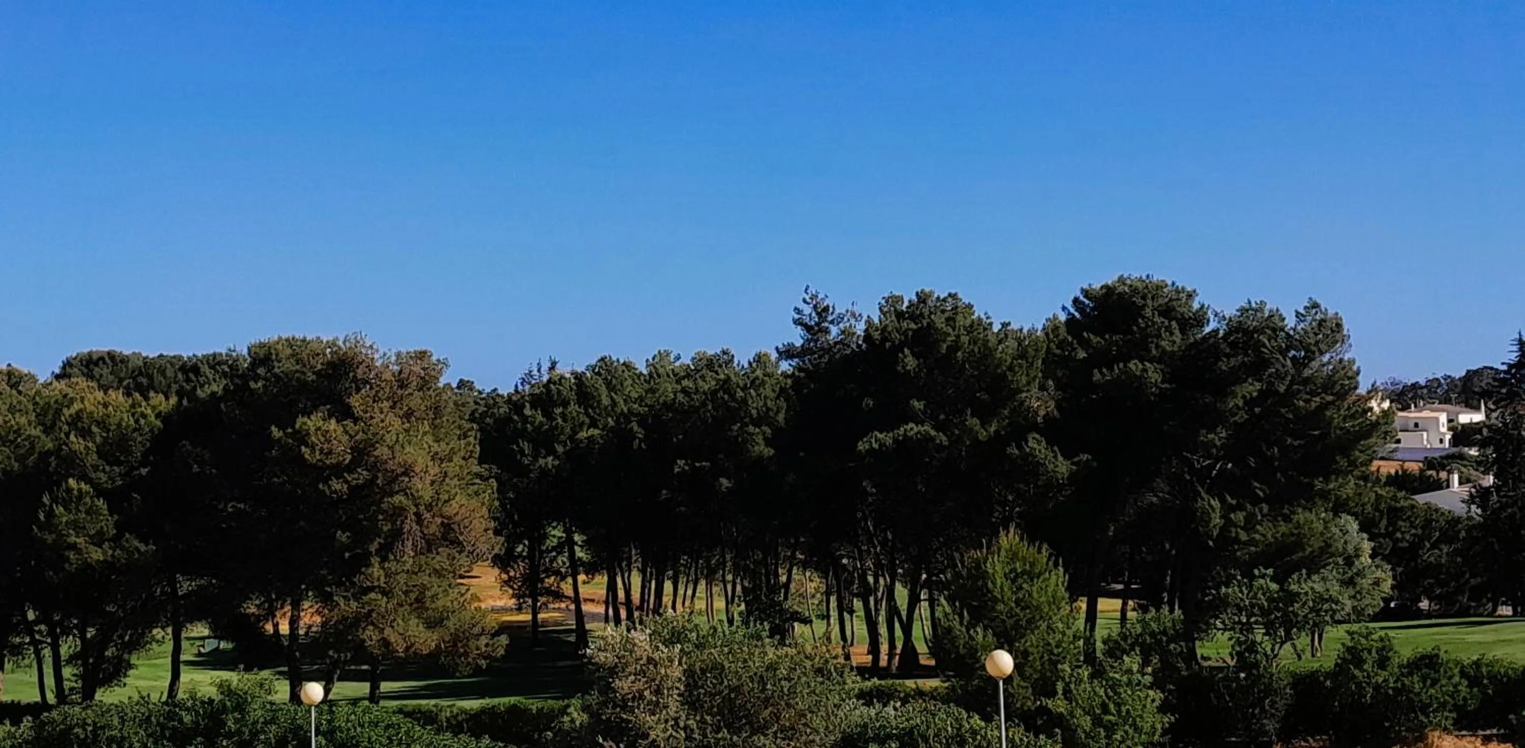 Golfcourse in DeVVine Beach and Golf
