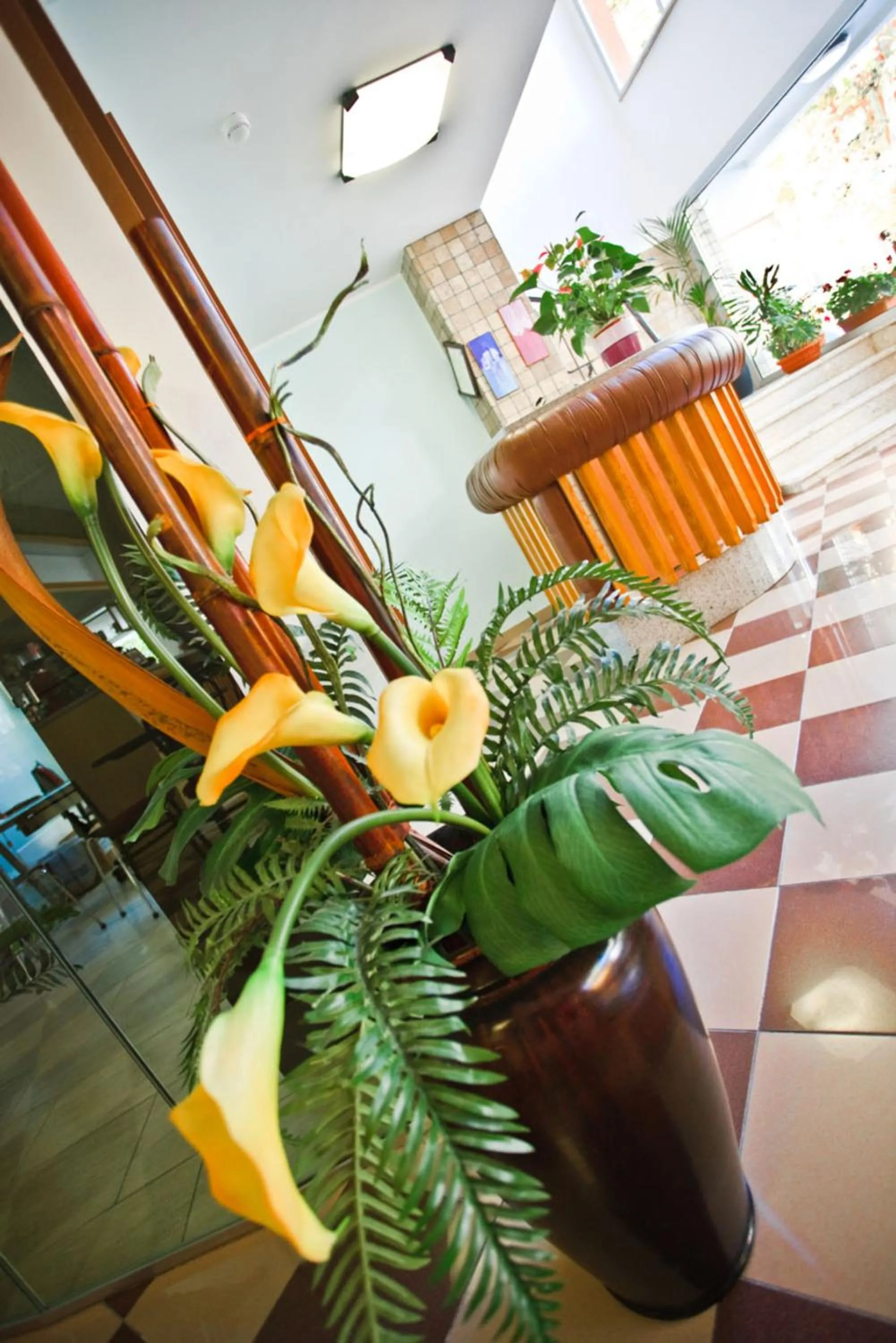Day in Hotel Atis