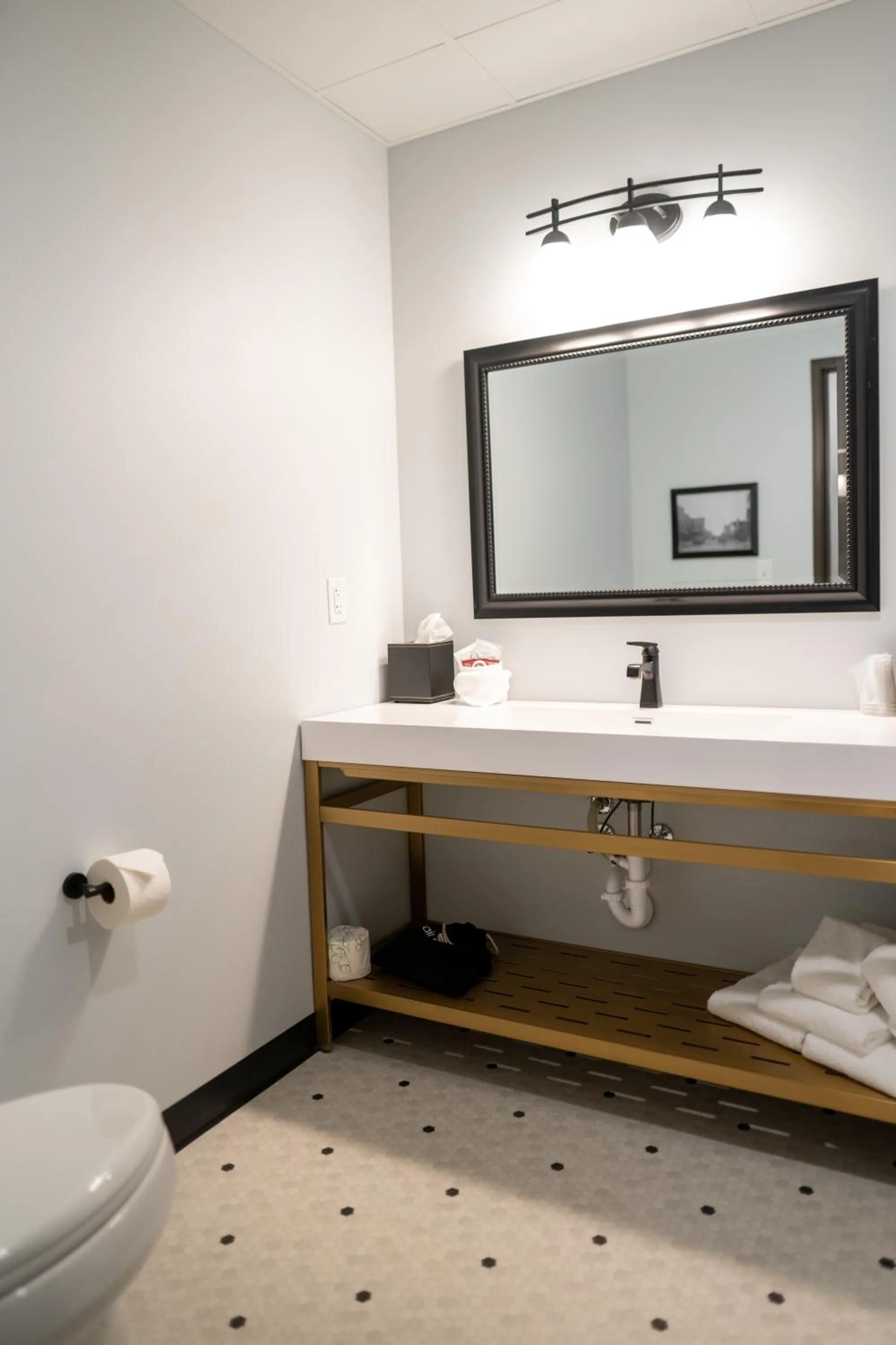 Toilet in The Alonzo Ward Hotel